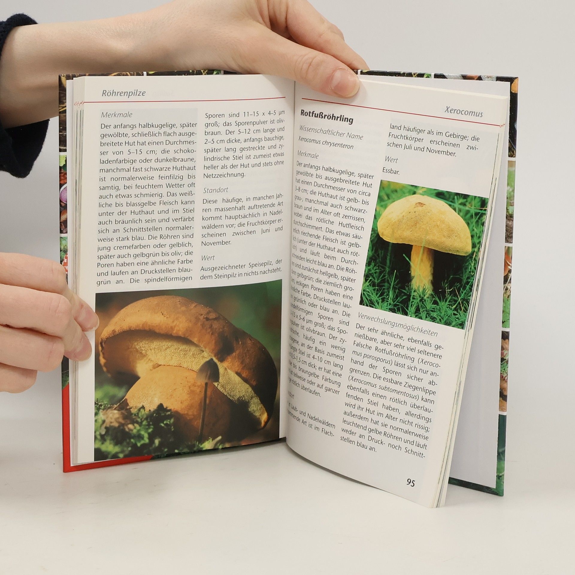 Various authors Pilze. Erkennen und Bestimmen