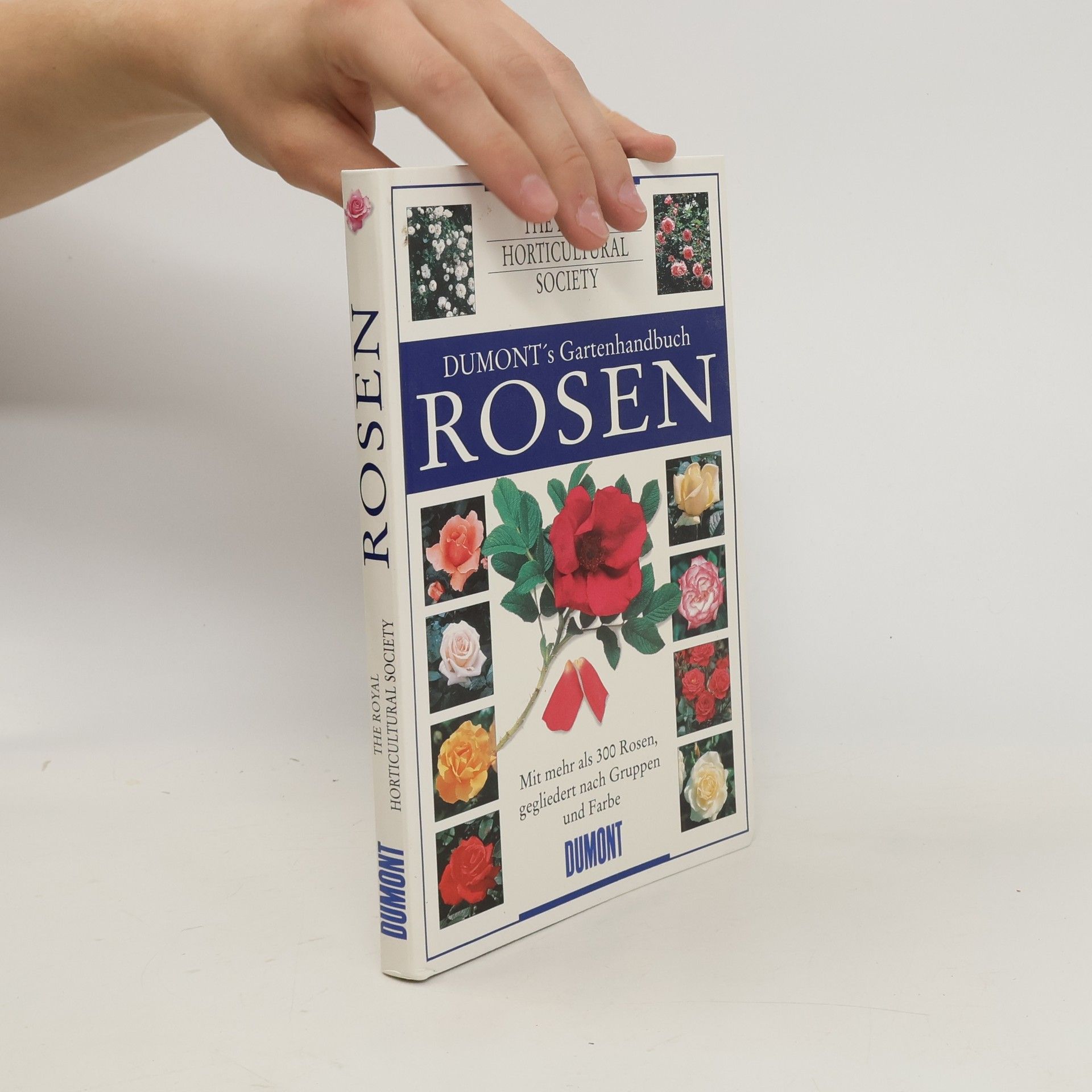 Susanne Vogel Rosen
