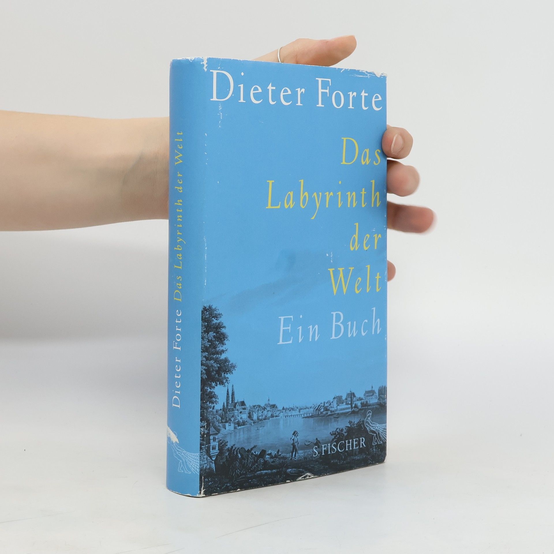 Dieter Forte Das Labyrinth der Welt