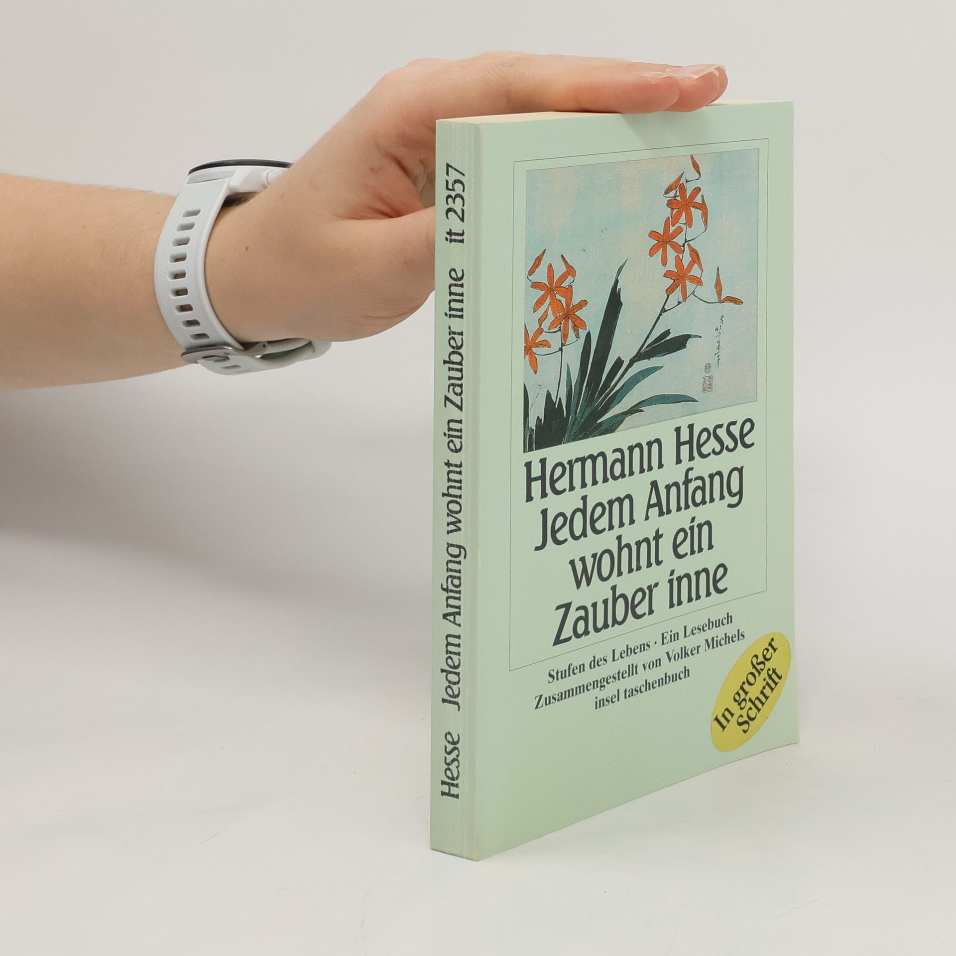 Hermann Hesse Jedem Anfang wohnt ein Zauber inne