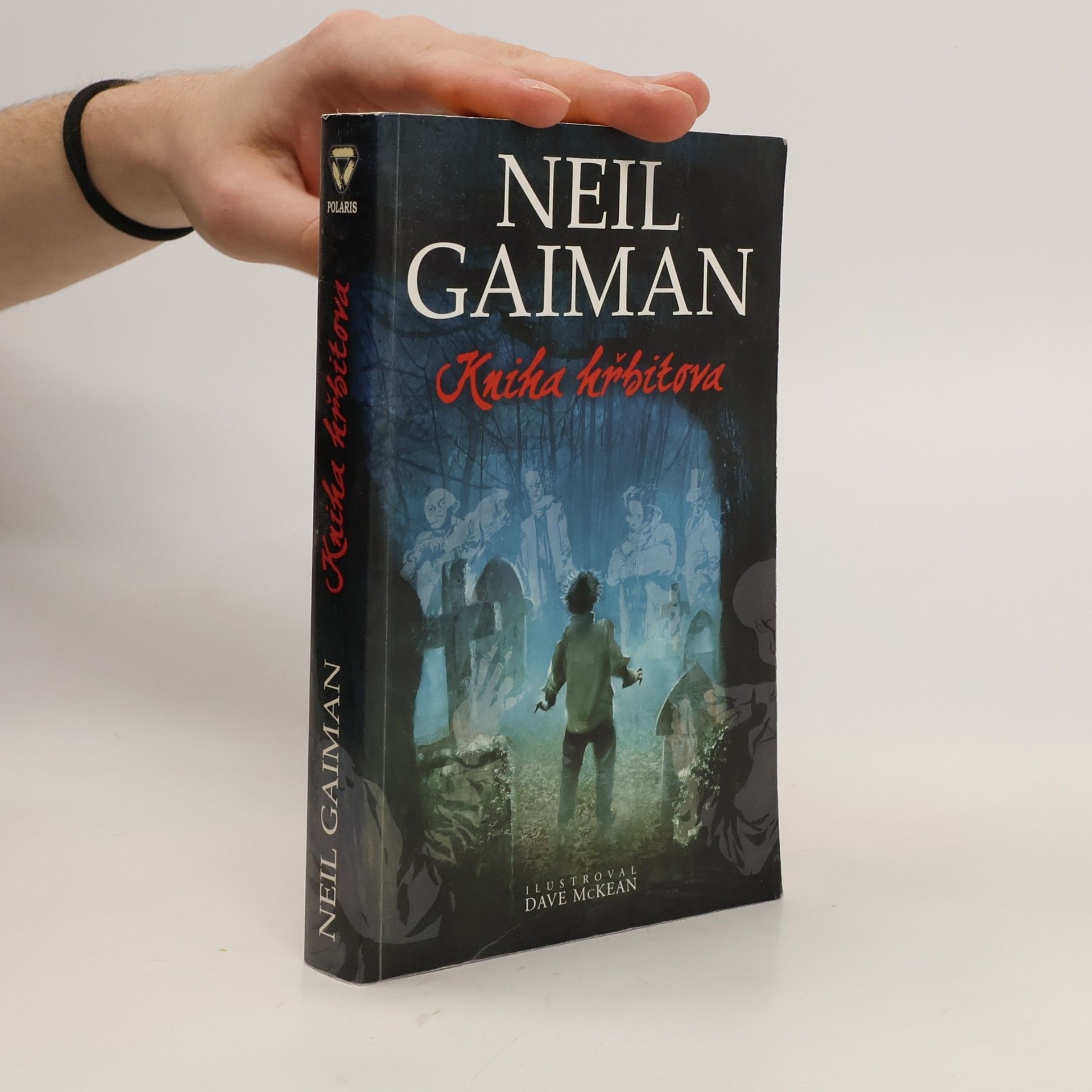 Neil Gaiman Kniha hřbitova