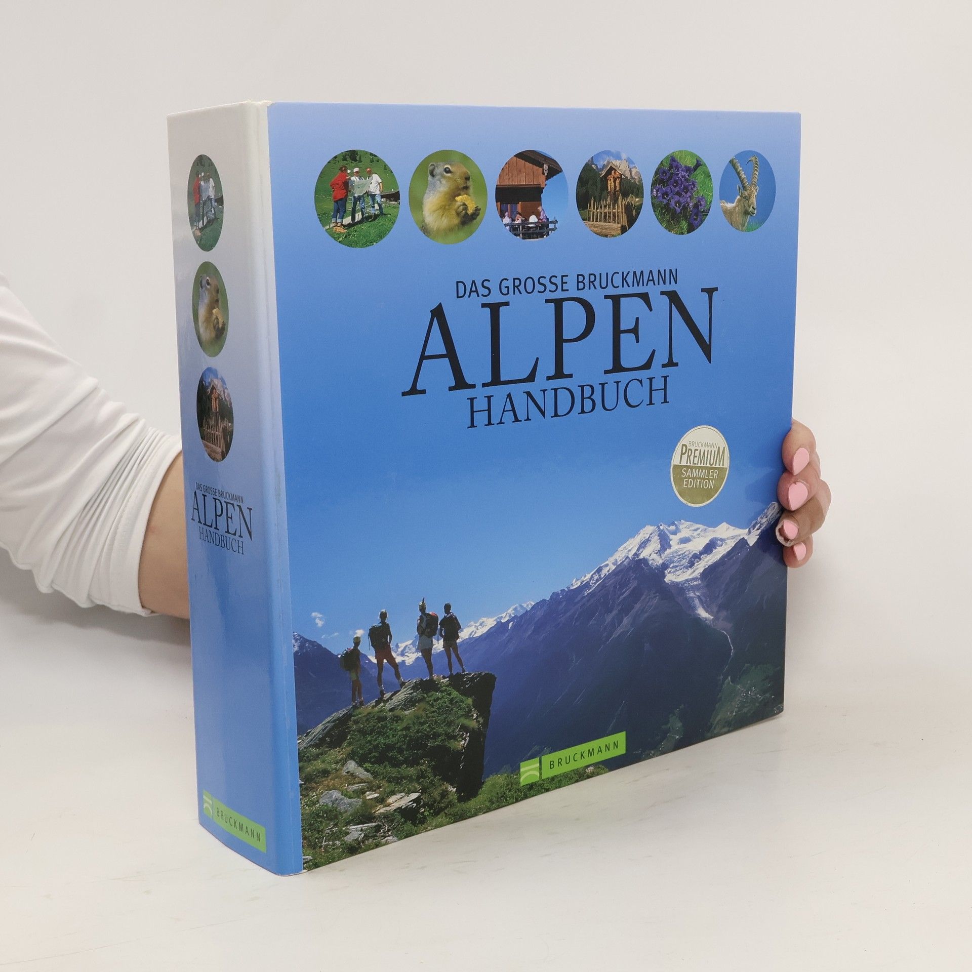 Autorenkollektiv Das grosse Bruckmann Alpenhandbuch