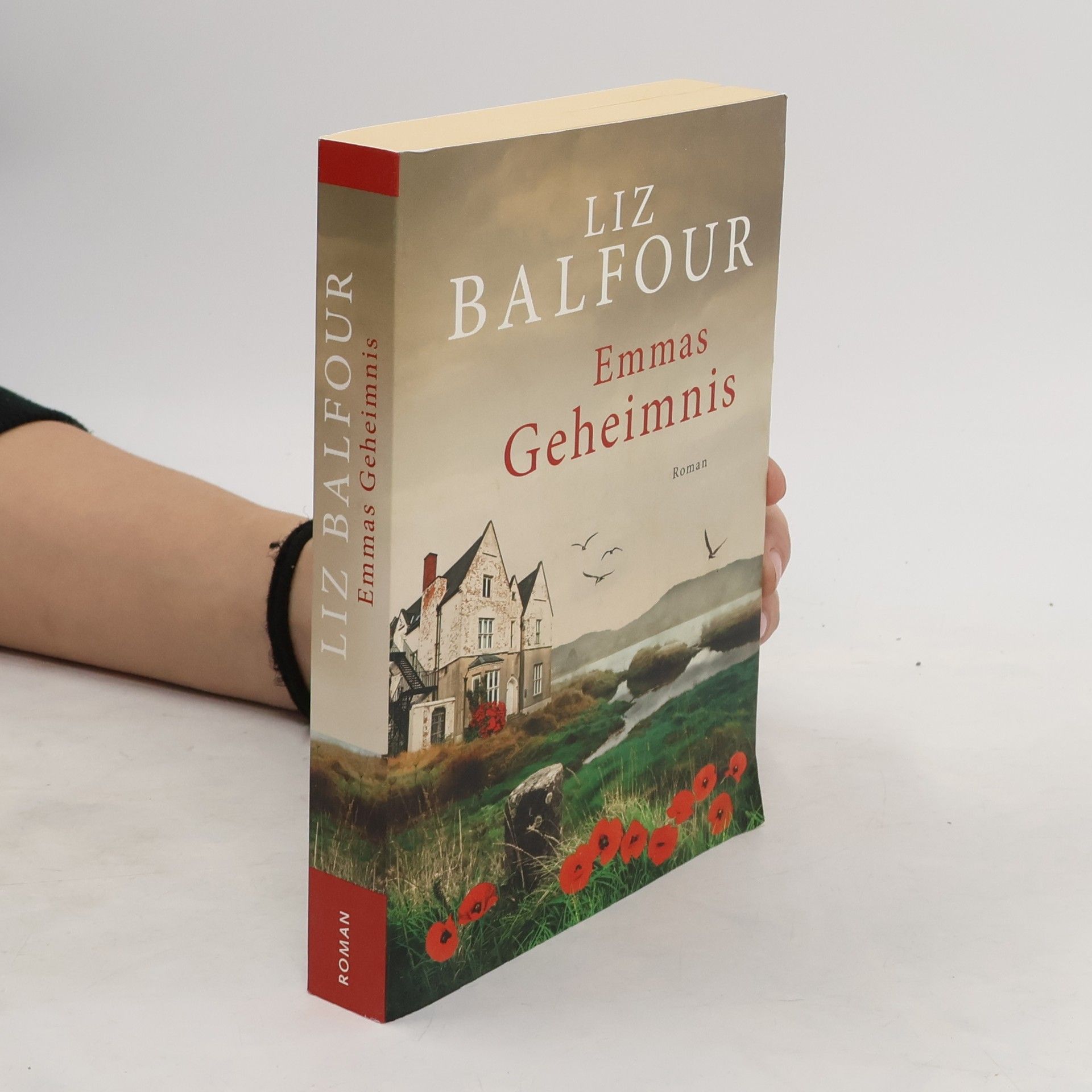Liz Balfour Emmas Geheimnis