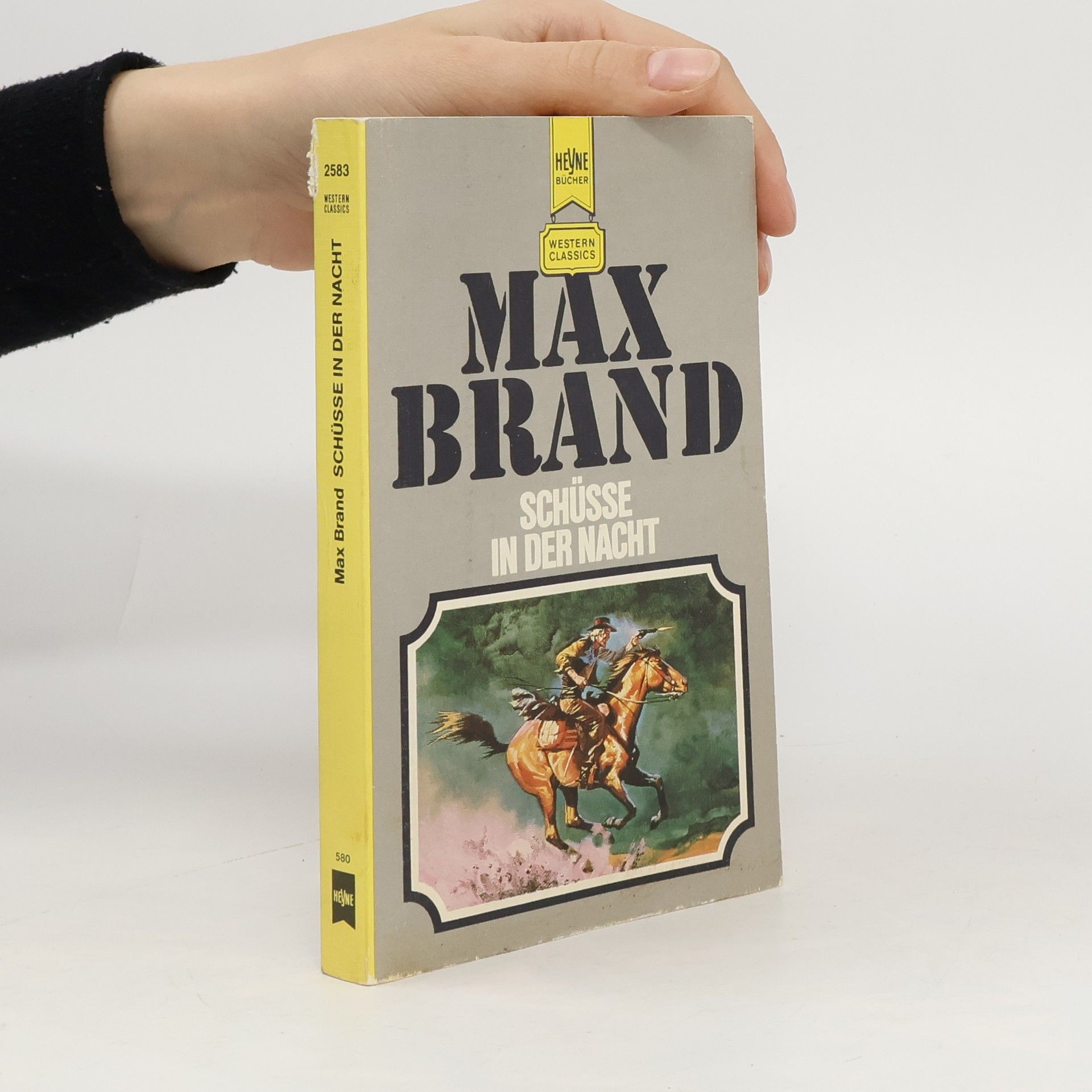 Max Brand Schüsse in der Nacht