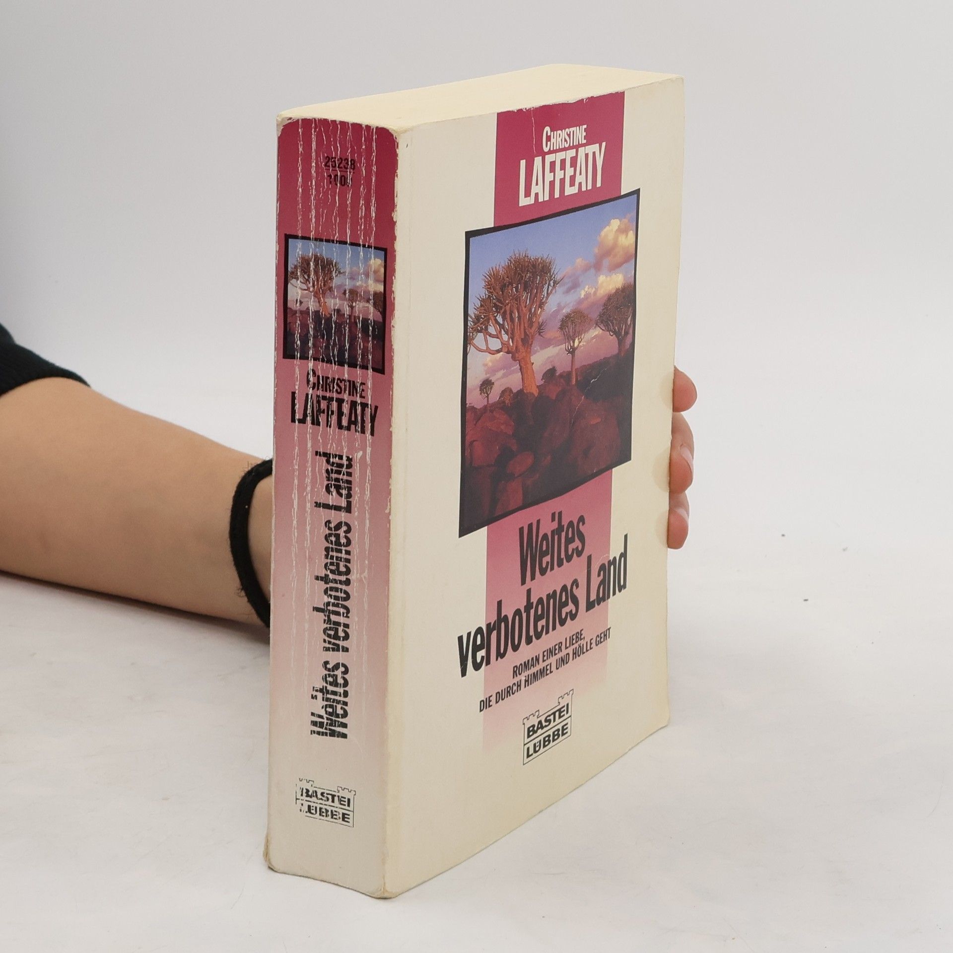 Christine Laffeaty Weites verbotenes Land
