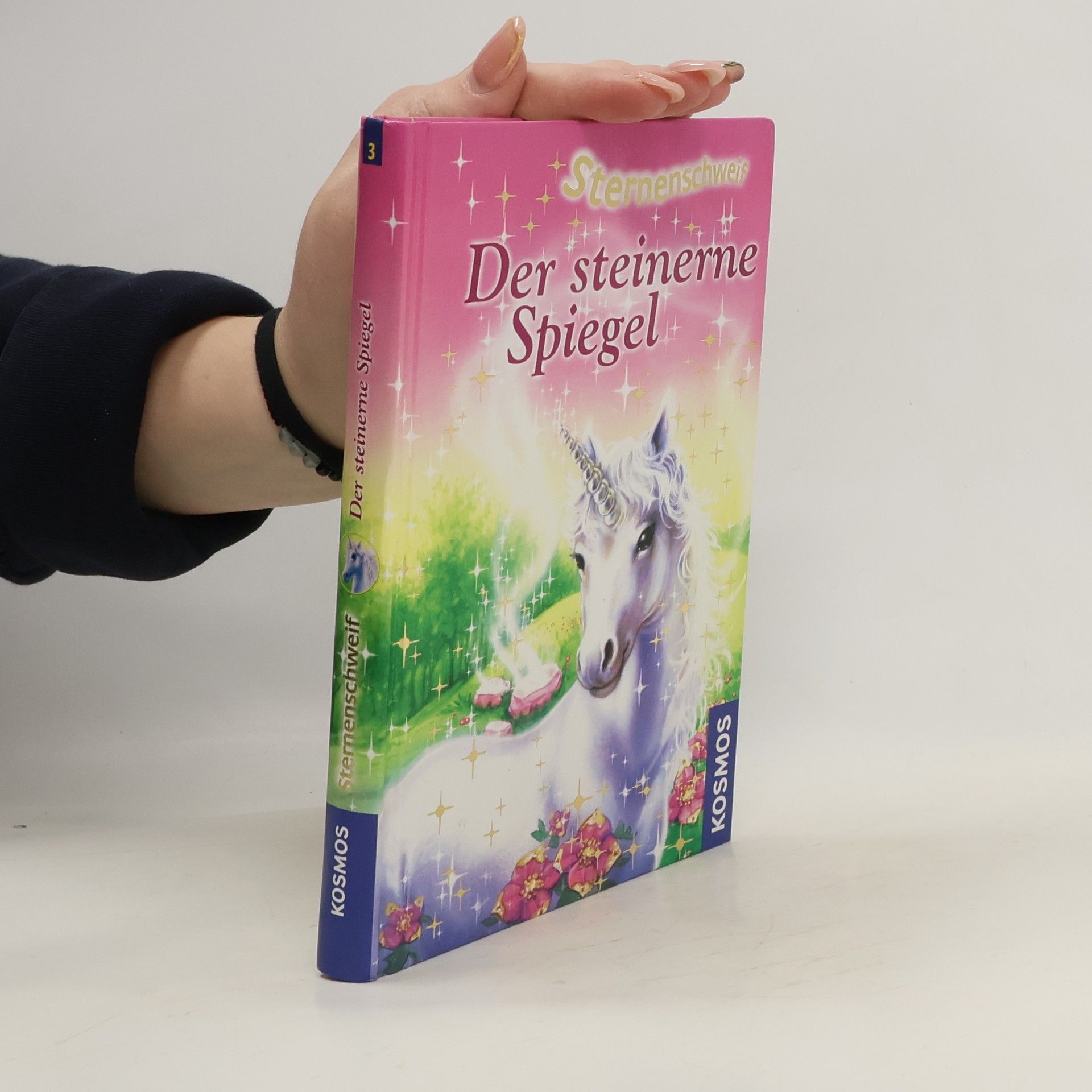 Linda Chapman Sternenschweif: Der steinerne Spiegel