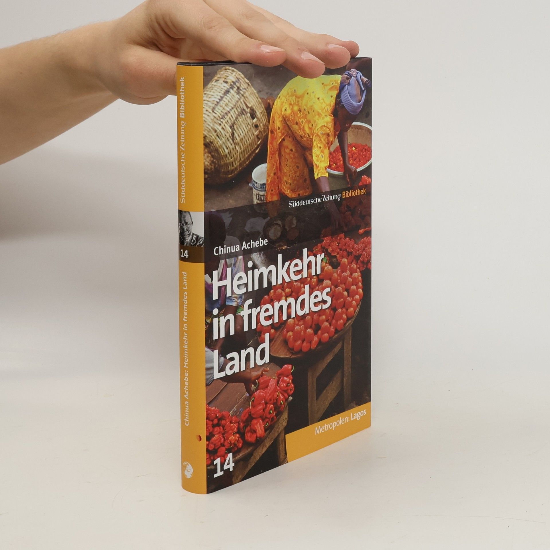 Chinua Achebe Heimkehr in fremdes Land