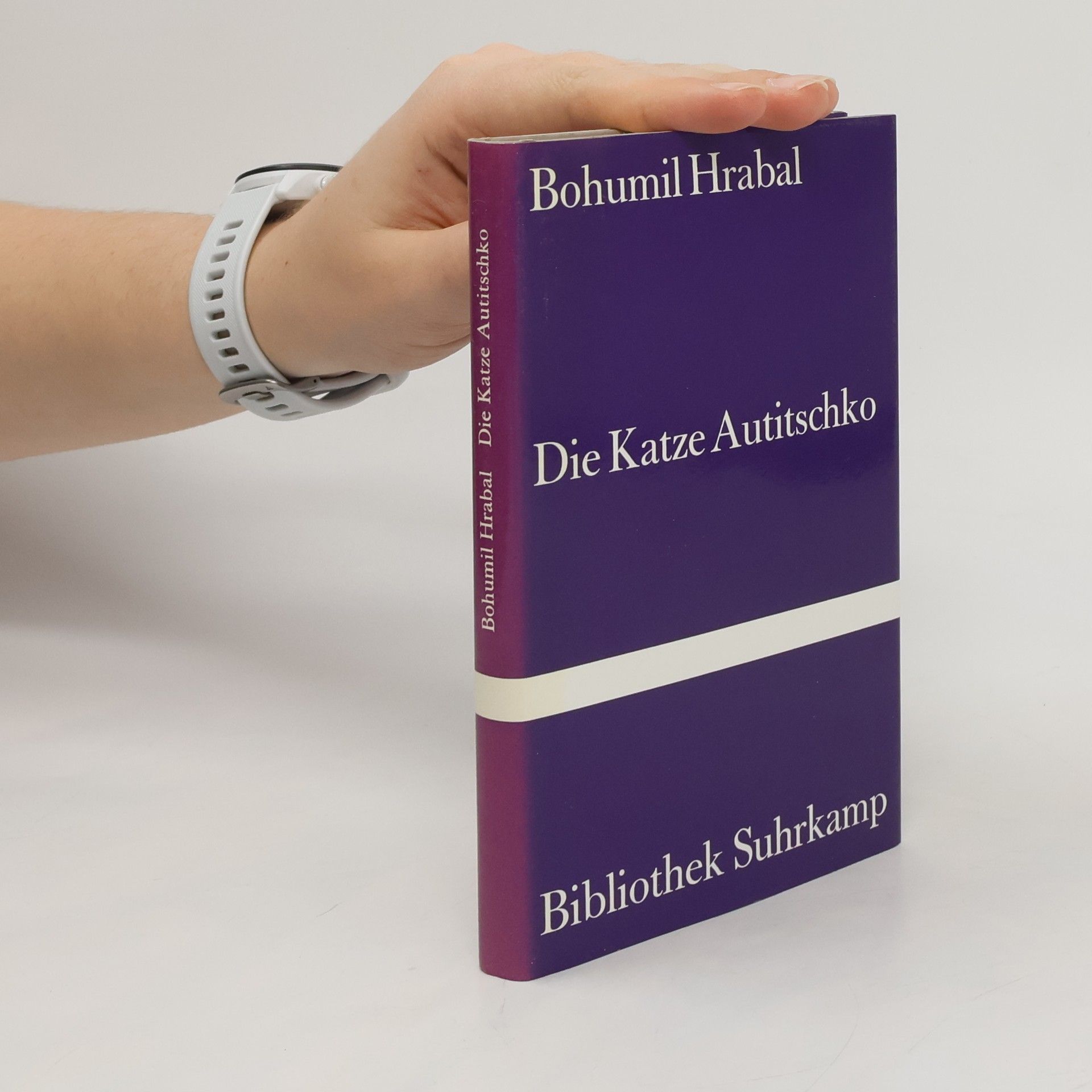 Bohumil Hrabal Die Katze Autitschko