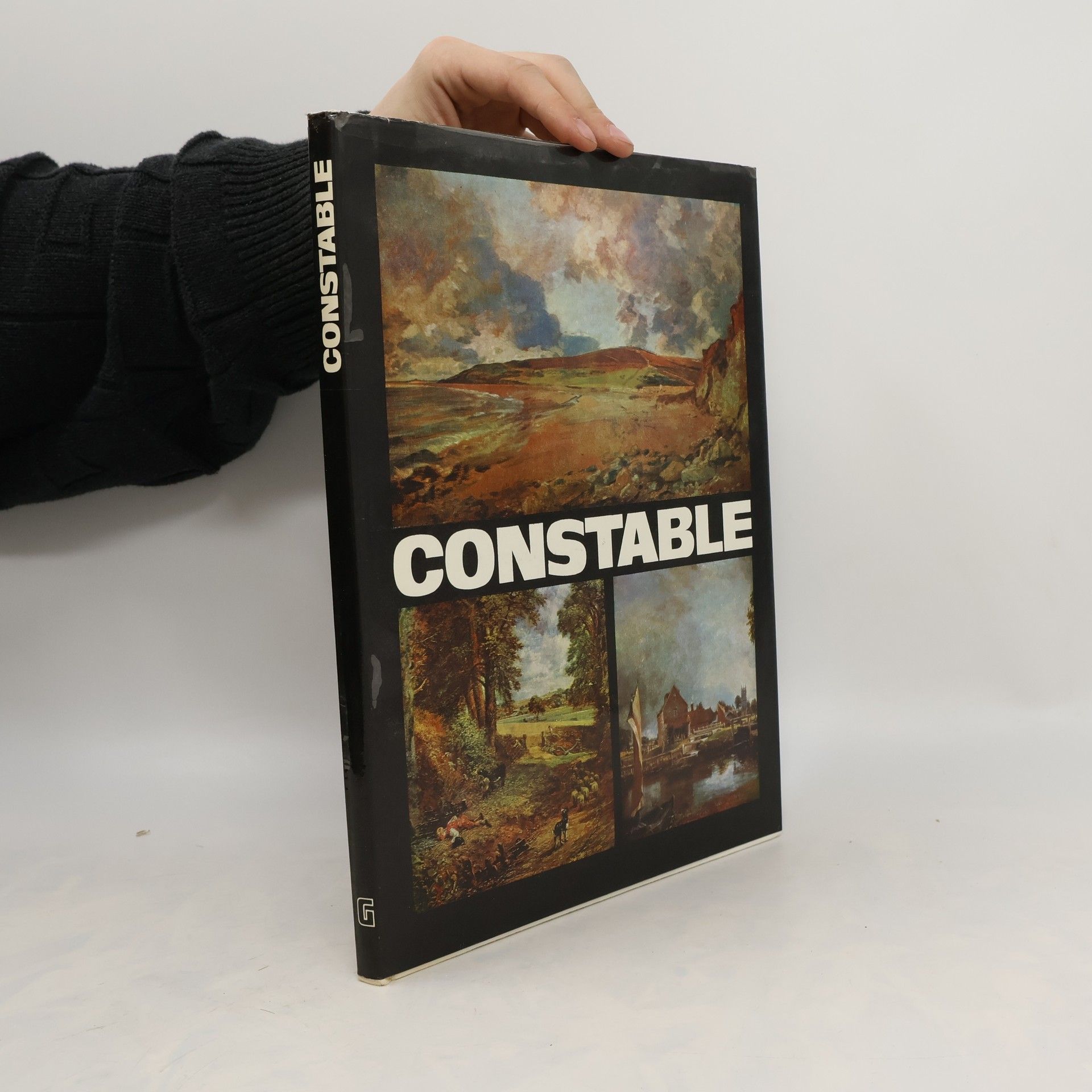 Vasile Nicolescu Constable