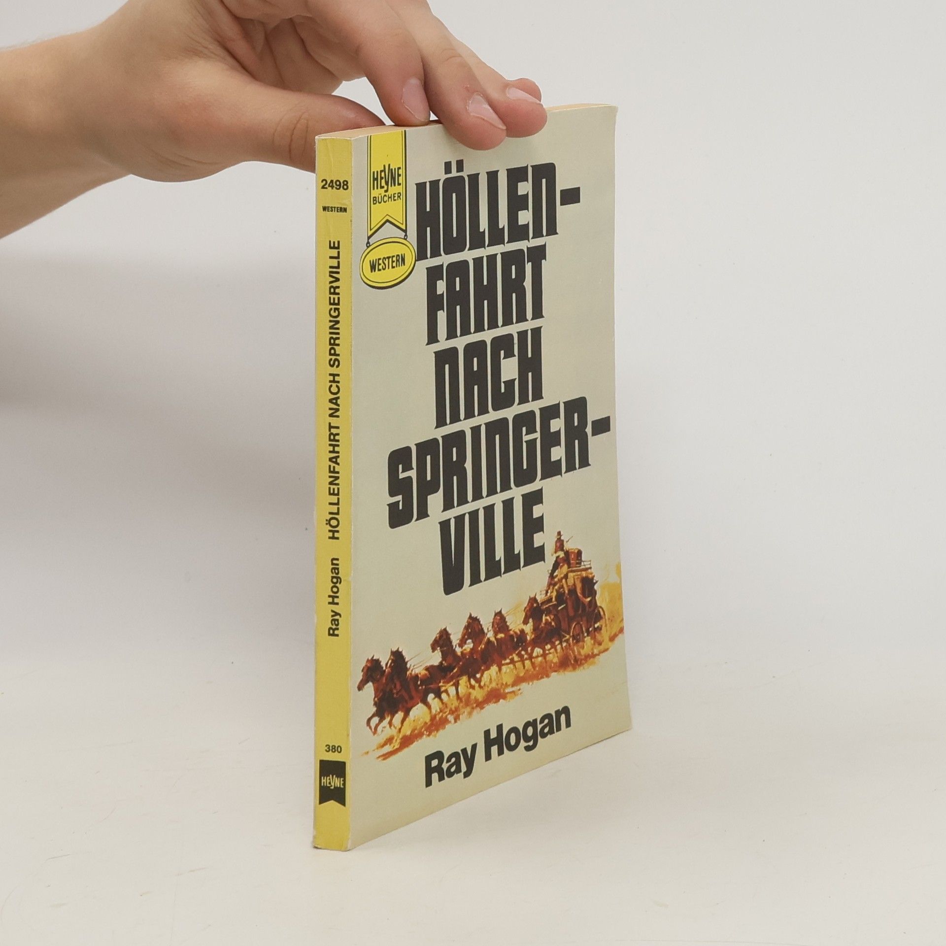 Ray Hogan Höllenfahrt nach Springerville