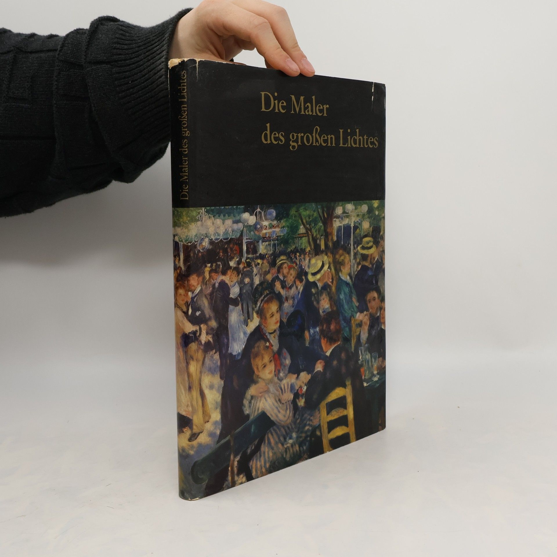 Autores varios Die Maler des großen Lichtes