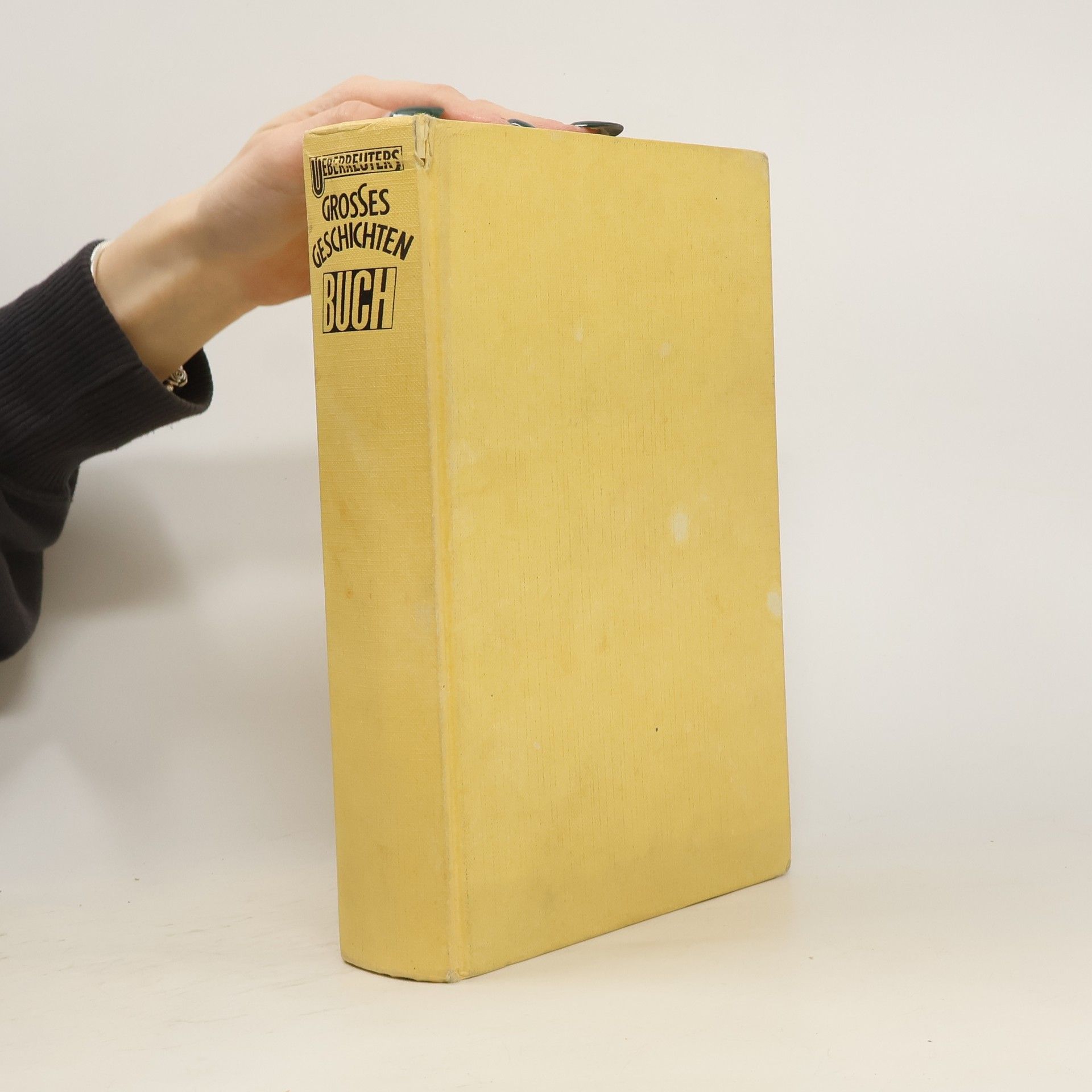 Siegfried Aust Ueberreuters grosses Geschichtenbuch