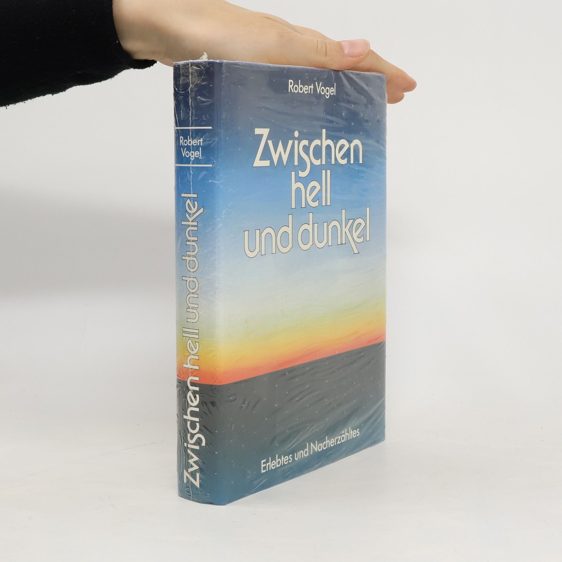 Robert Vogel Zwischen hell und dunkel