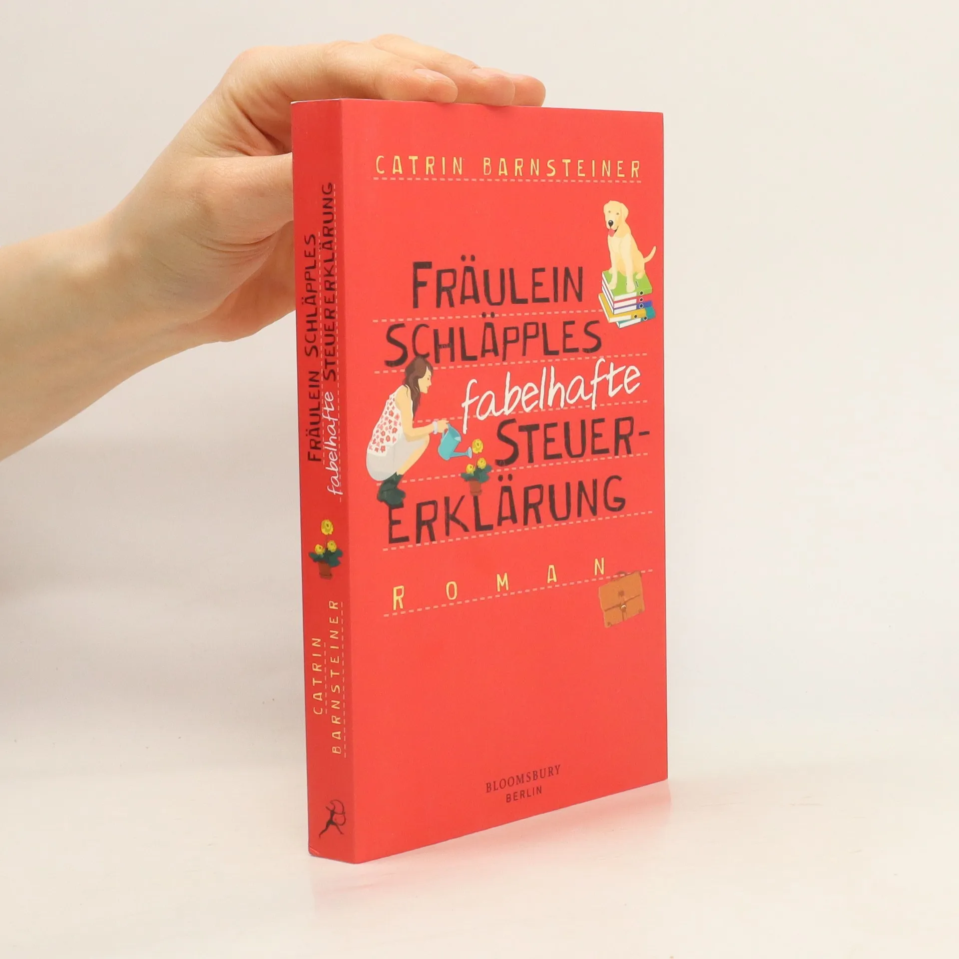 Fräulein Schläpples fabelhafte Steuererklärung | Book | Catrin Barnsteiner | DE