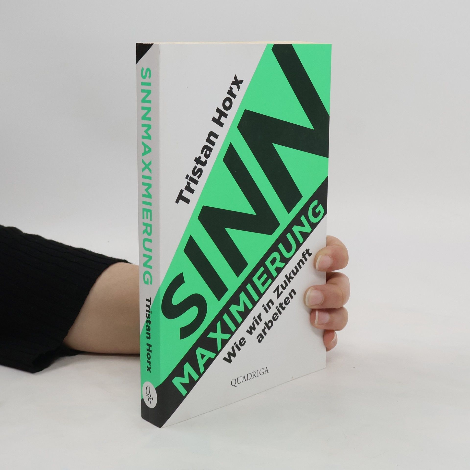 Tristan Horx Sinnmaximierung