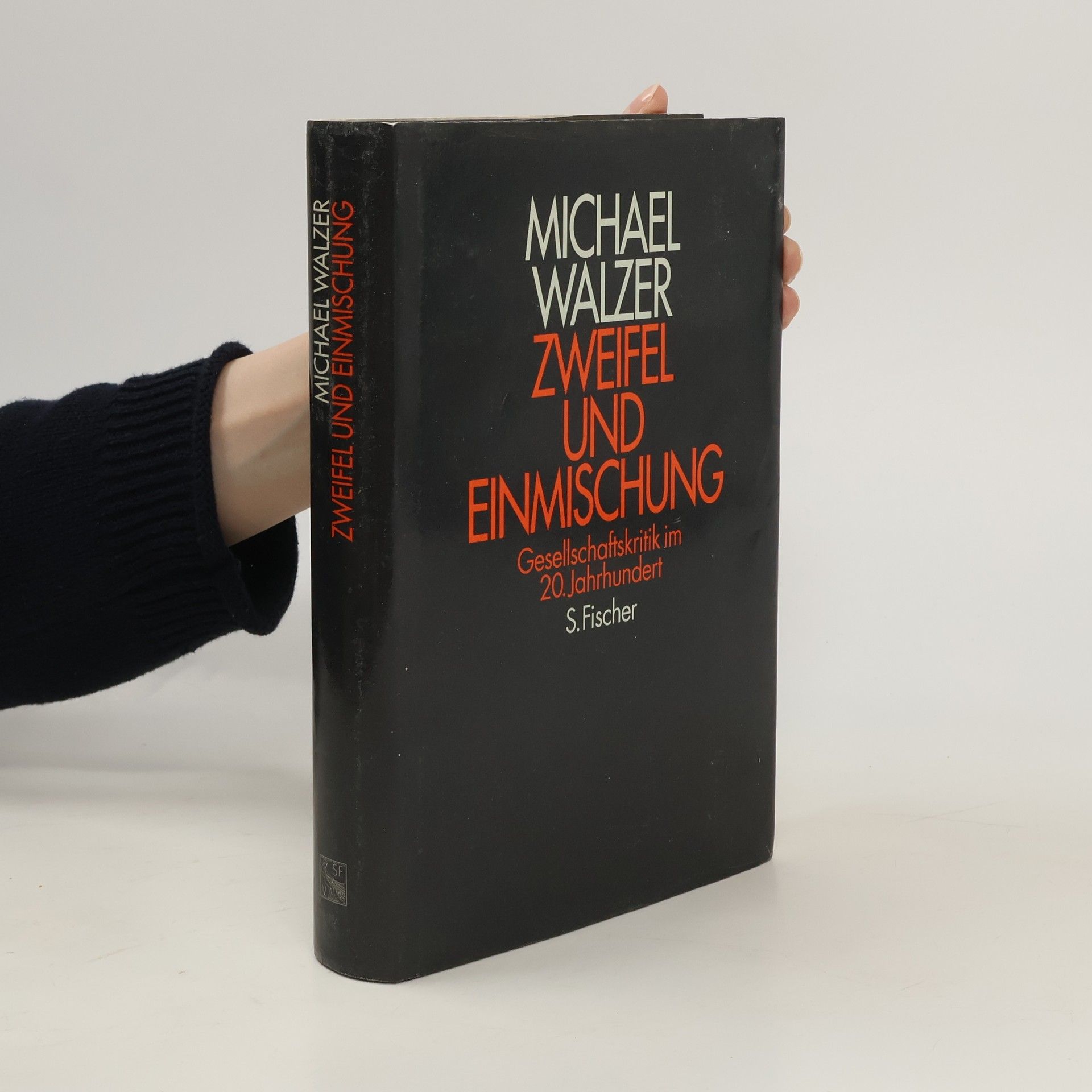 Michael Walzer Zweifel und Einmischung
