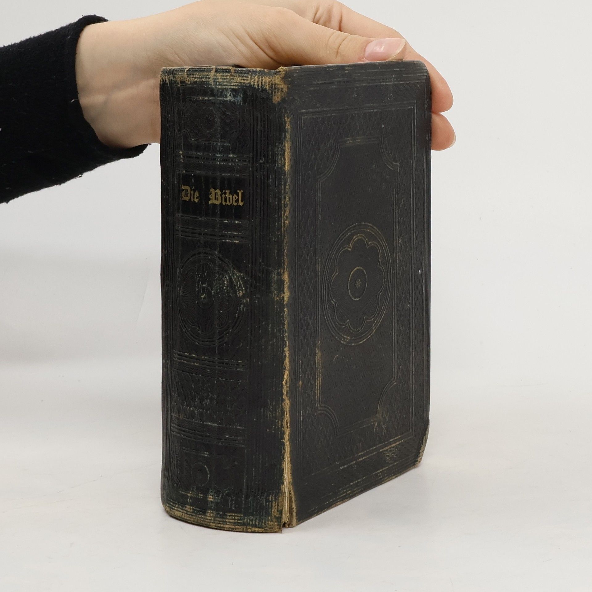 Autorenkollektiv Die Bibel