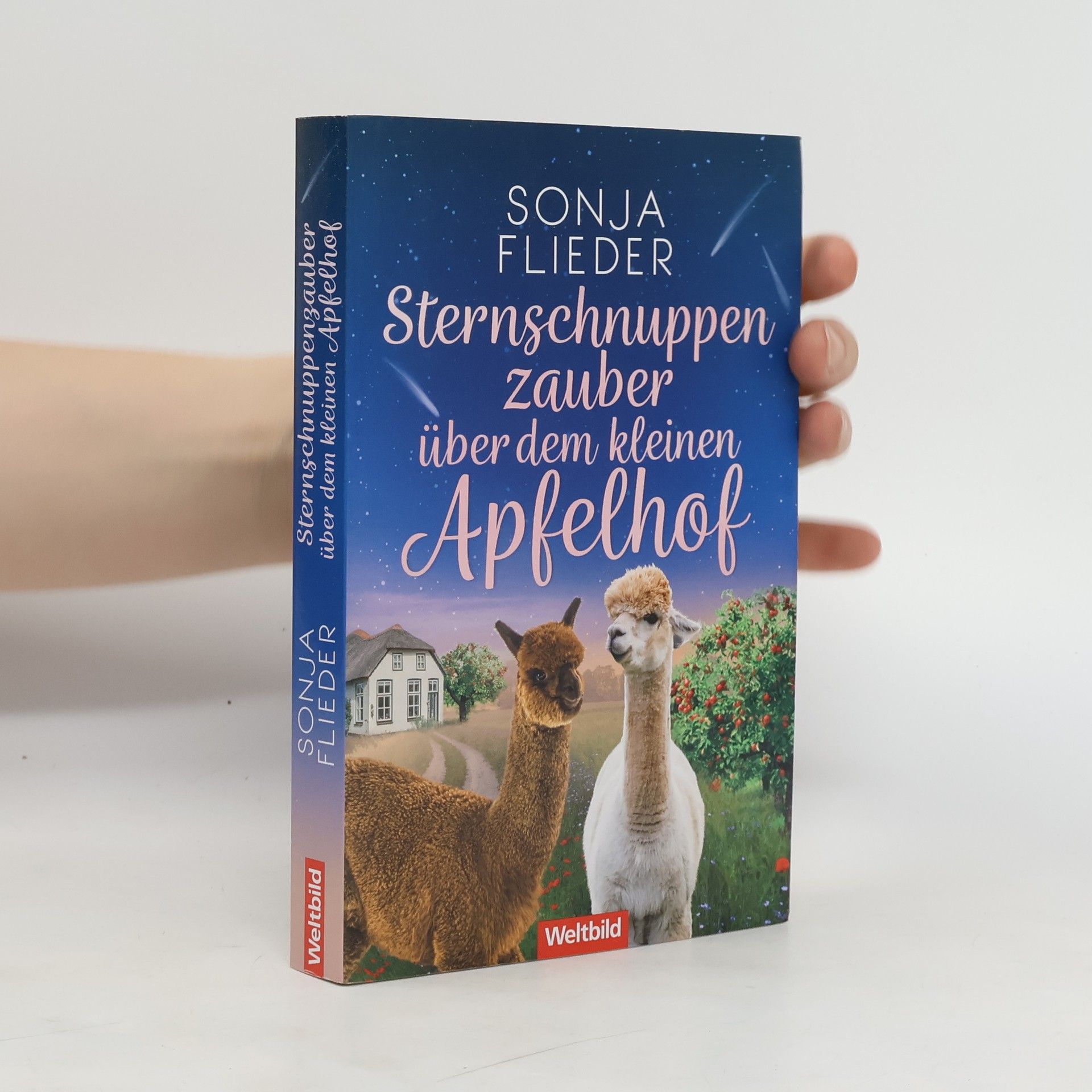Sonja Flieder Sternschnuppenzauber über dem kleinen Apfelhof