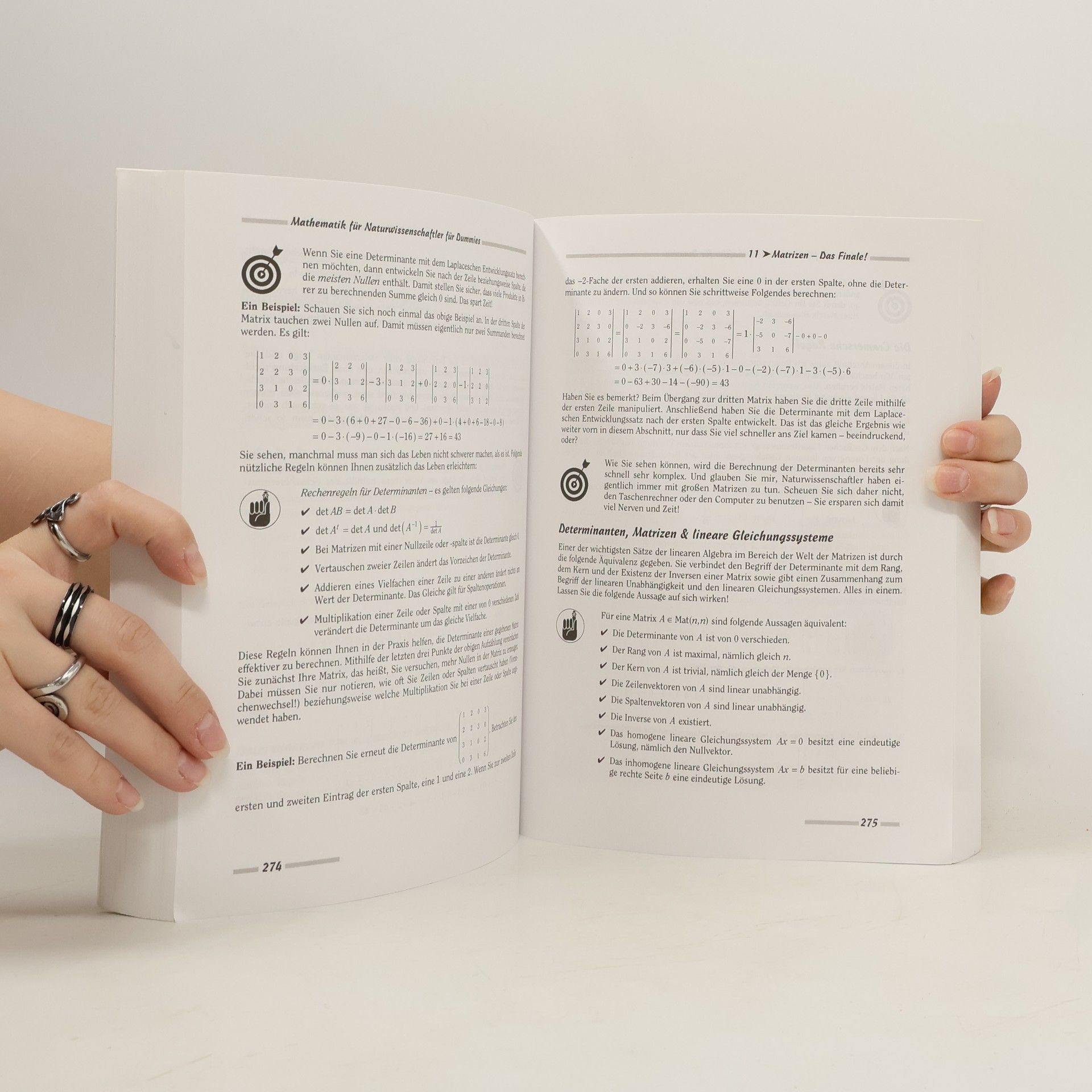 Thoralf Räsch Mathematik für Naturwissenschaftler für Dummies