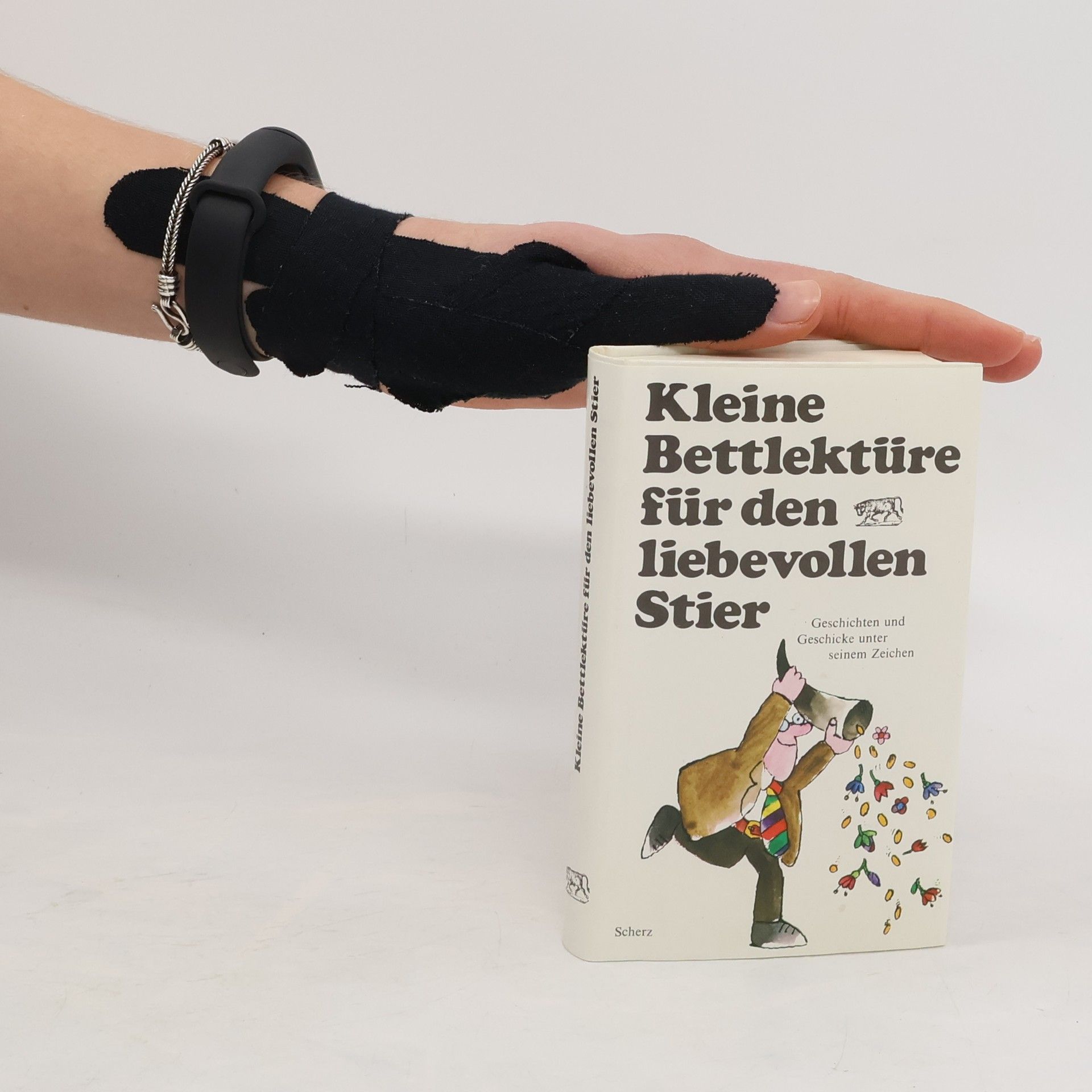 Autorenkollektiv Kleine Bettlektüre für den liebevollen Stier