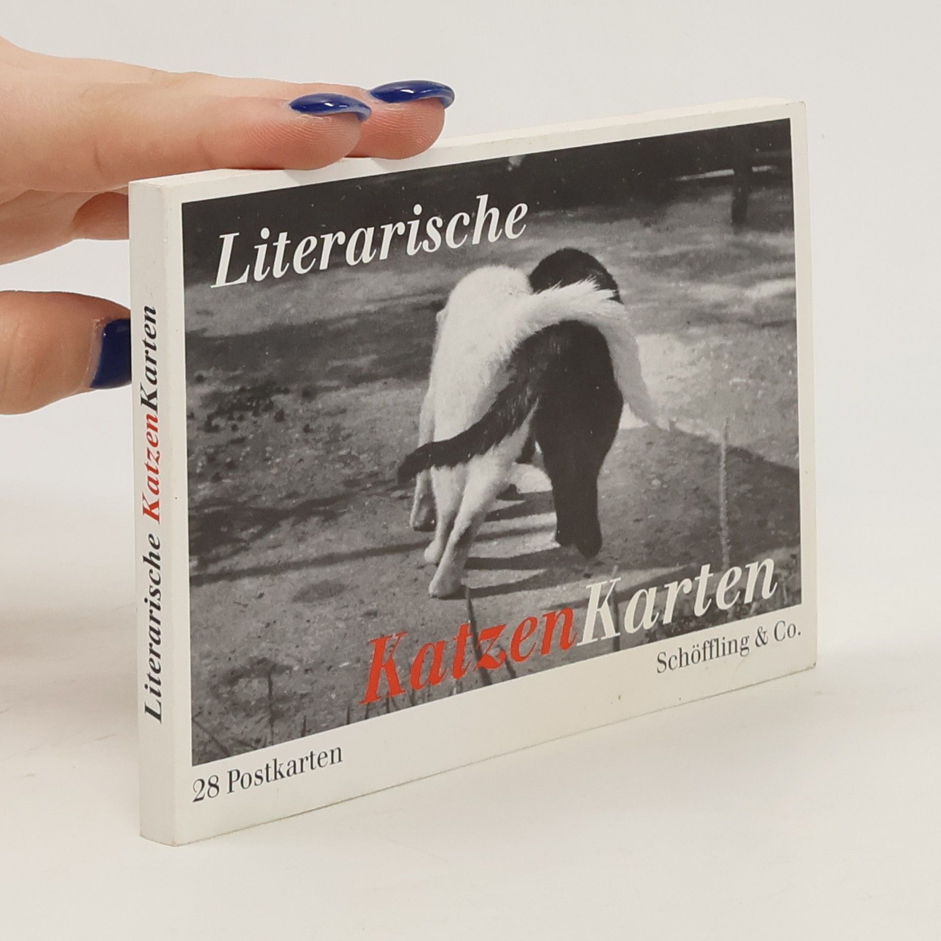 Autorenkollektiv Literarische KatzenKarten 28 Postkarten