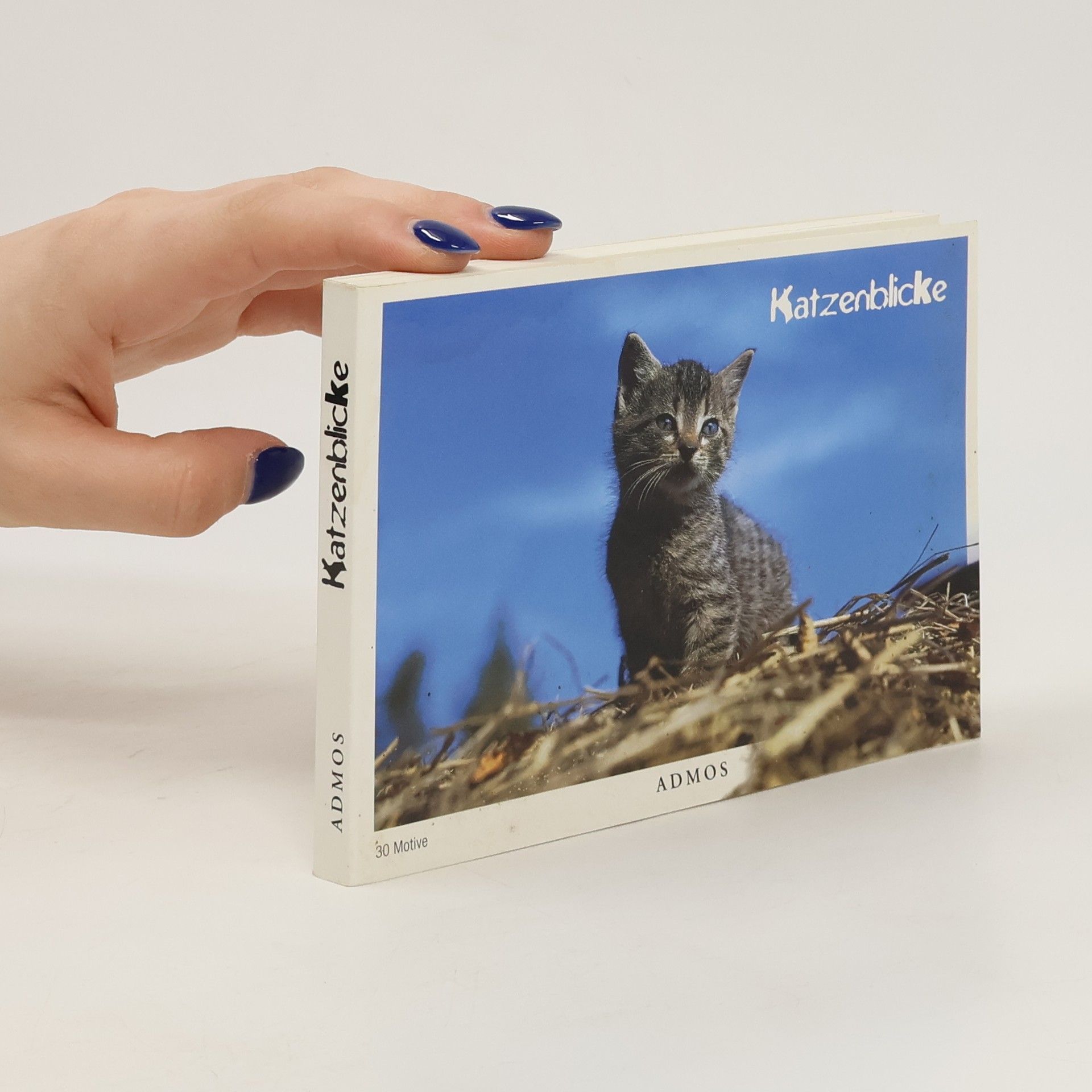 kolektiv Katzenblicke Postcards 30 Motive