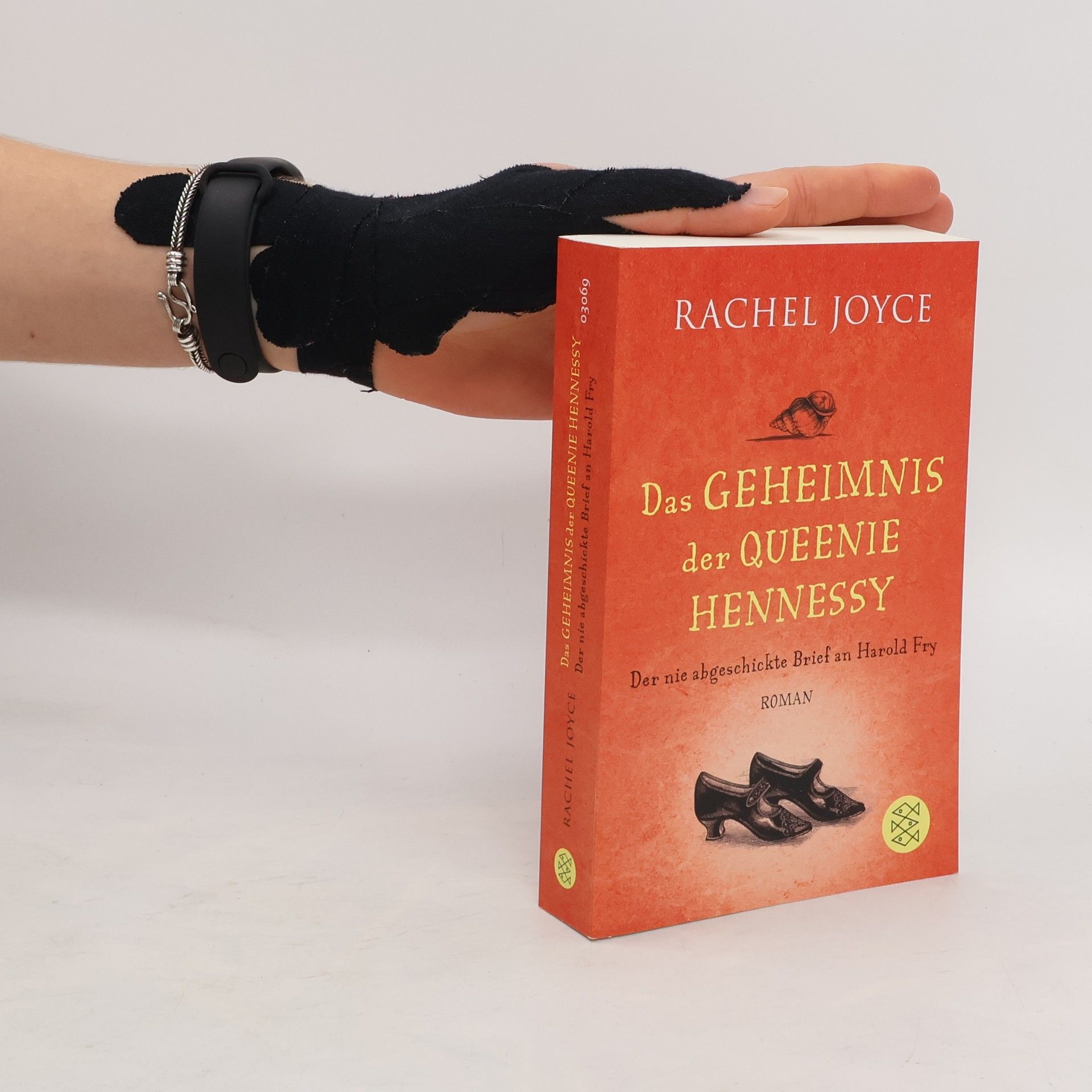 Rachel Joyce Das Geheimnis der Queenie Hennessy