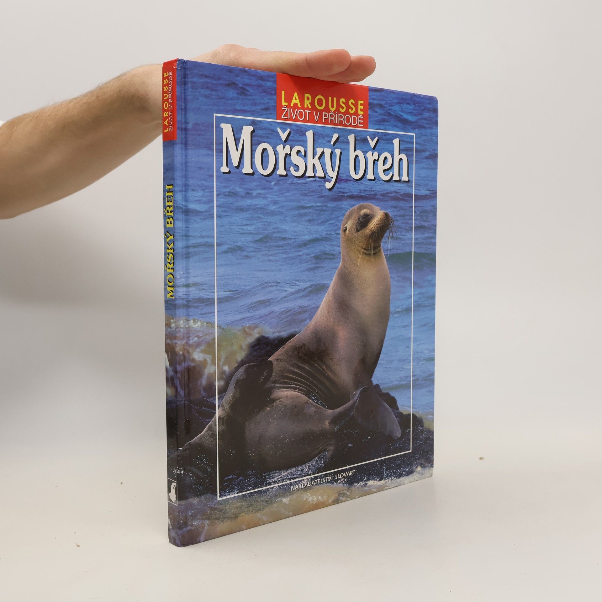 Autorenkollektiv Mořský břeh