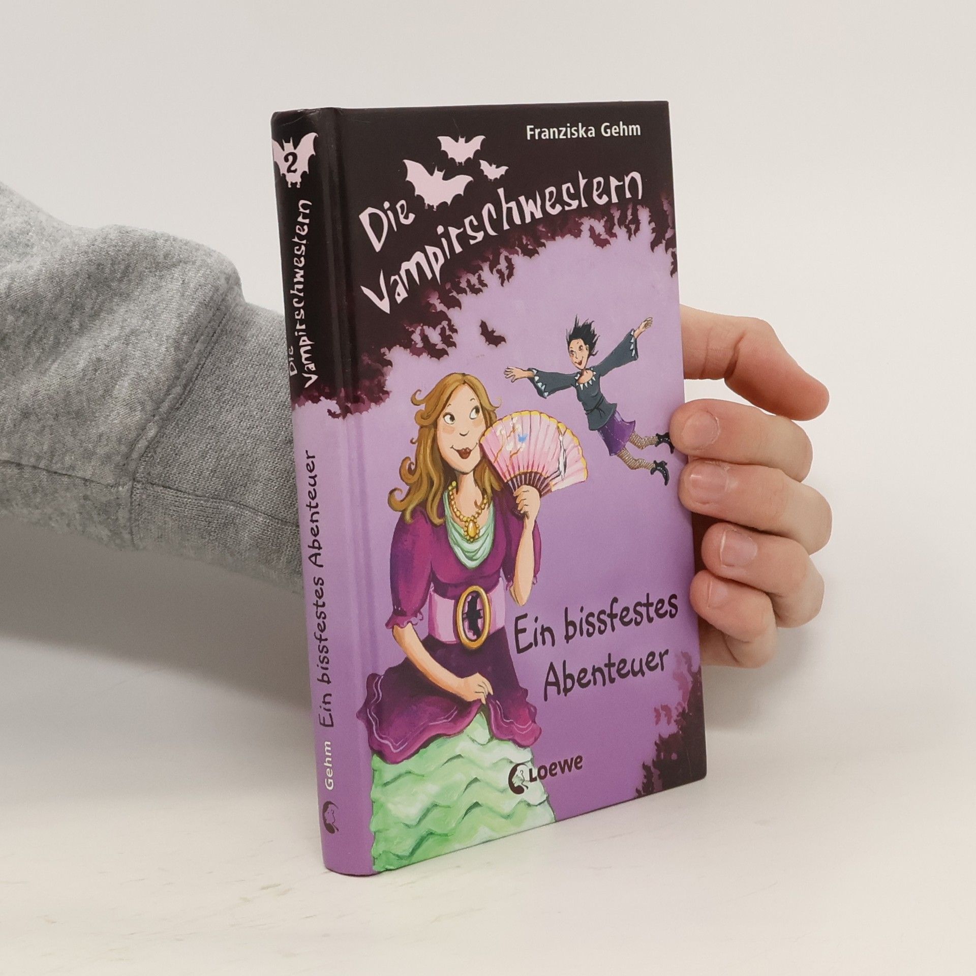 Franziska Gehm Die Vampirschwestern: Ein bissfestes Abenteuer