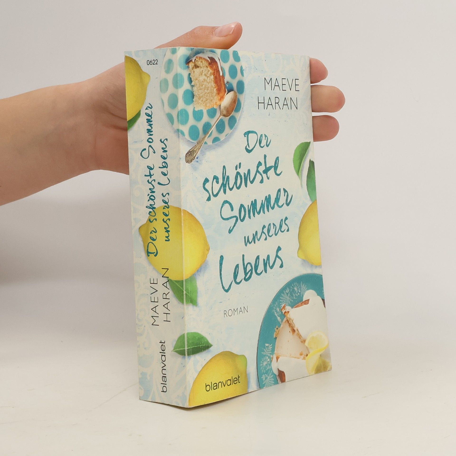 Maeve Haran Der schönste Sommer unseres Lebens