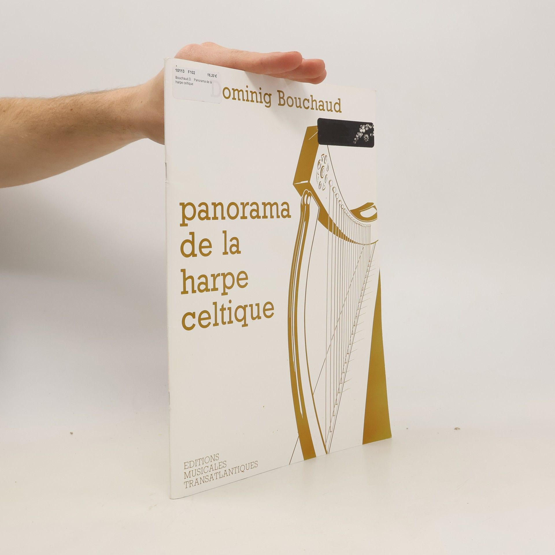 Dominig Bouchaud Panorama de la harpe celtique