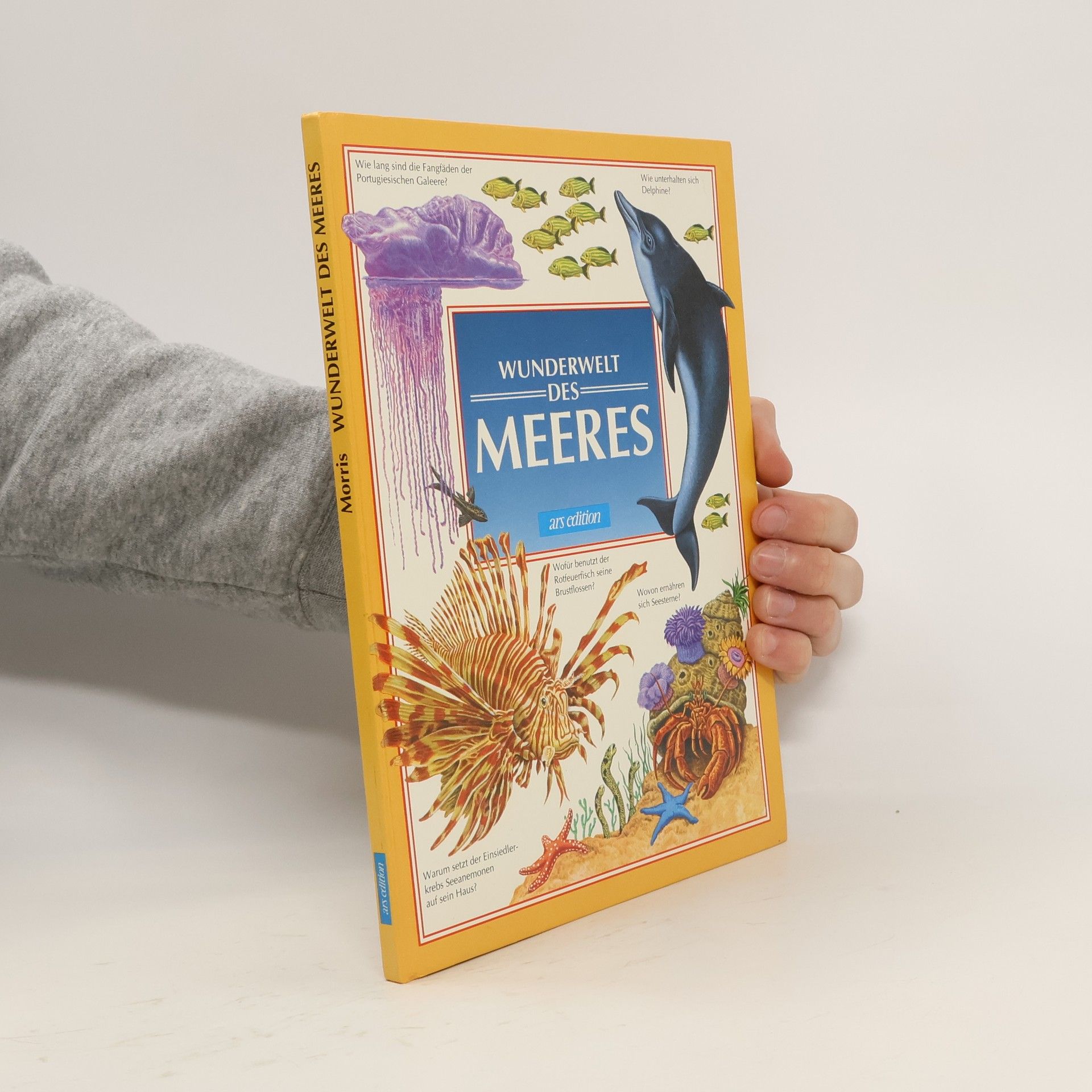 Rick Morris Wunderwelt des Meeres