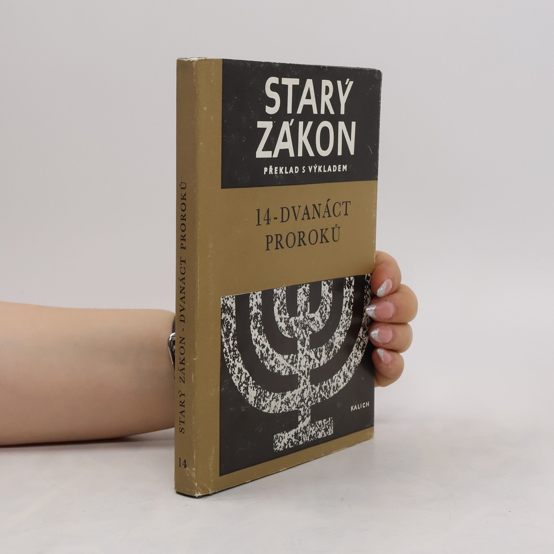 Autorenkollektiv Starý zákon 14 - Dvanáct proroků