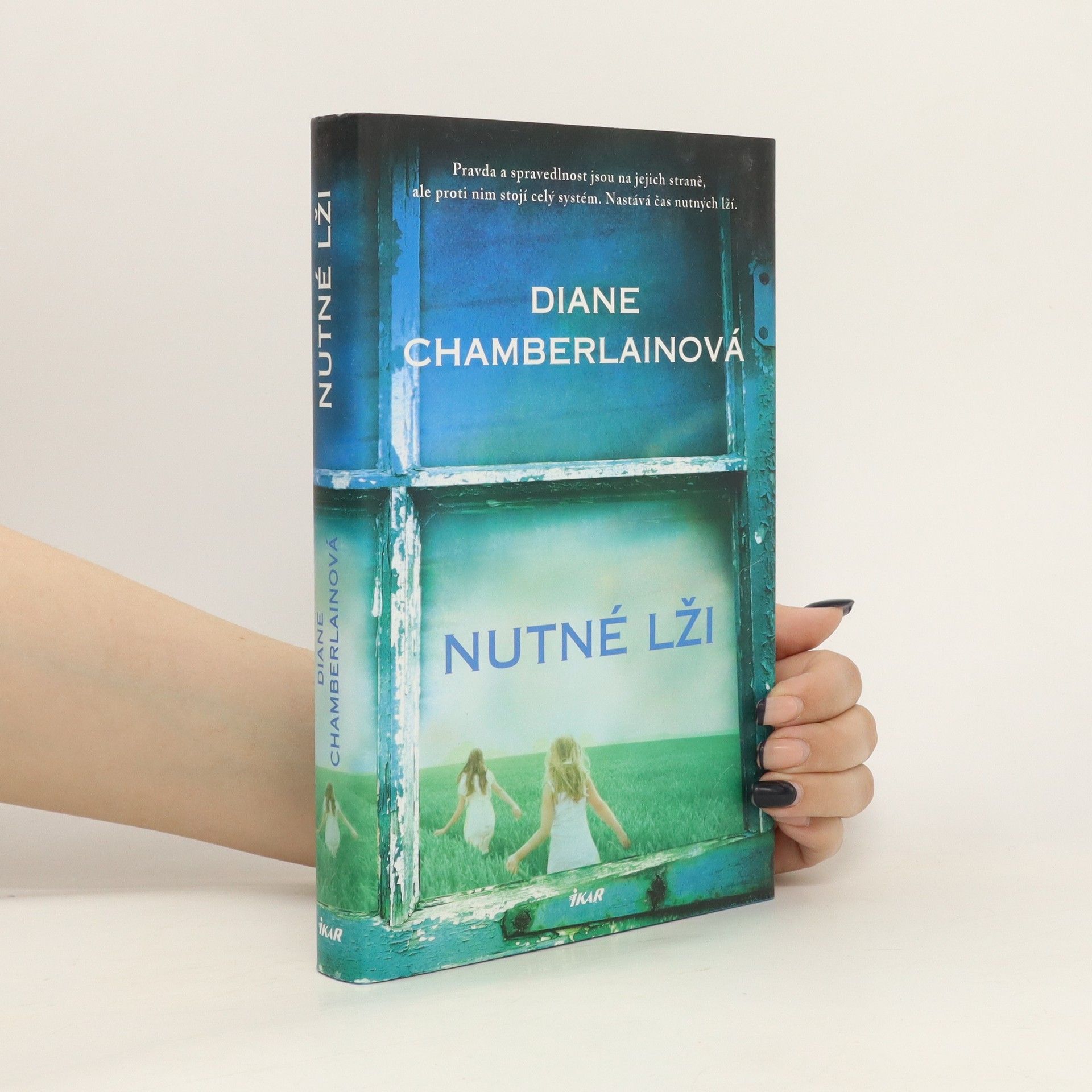 Diane Chamberlain Nutné lži