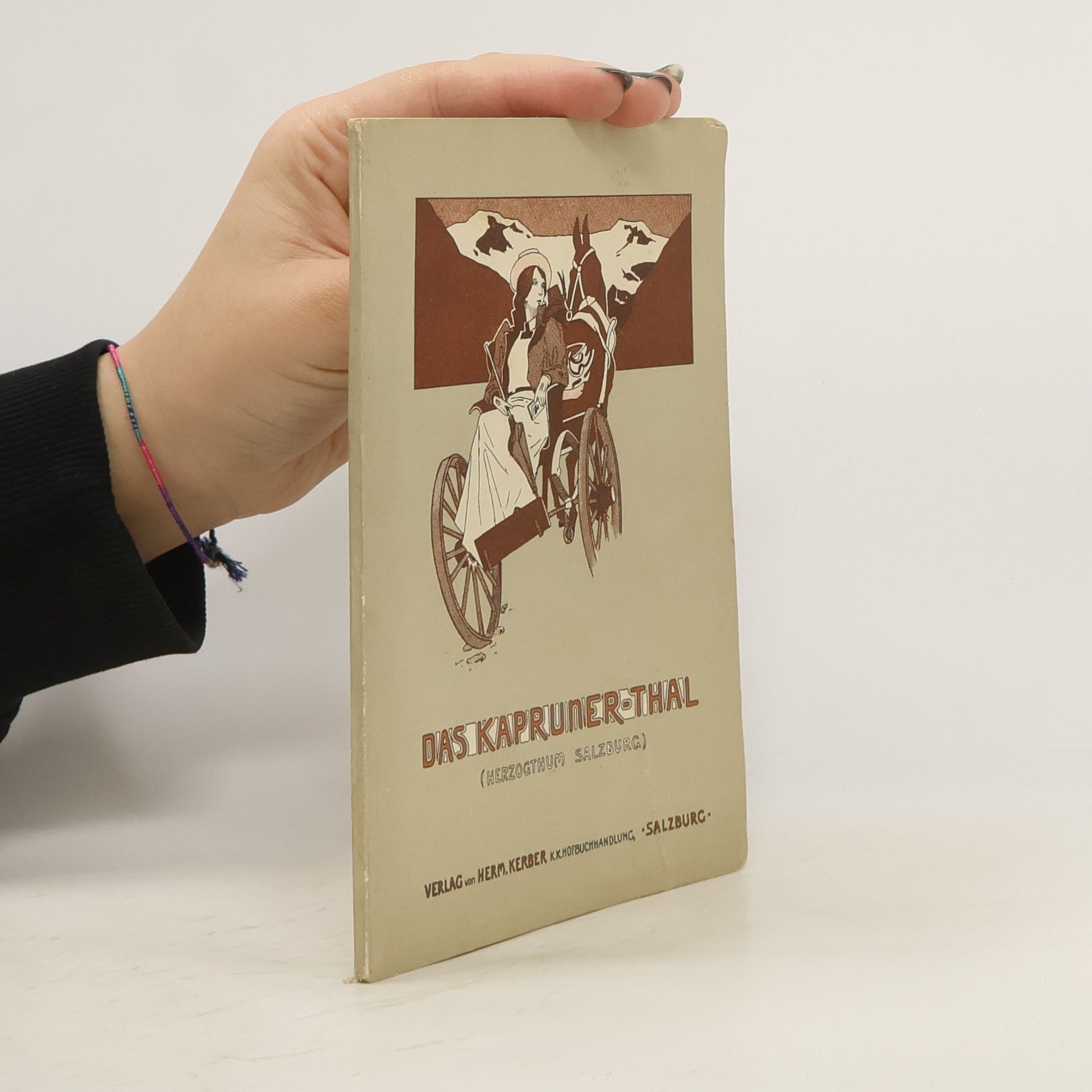 Collectif d'auteurs Das Kaprunerthal