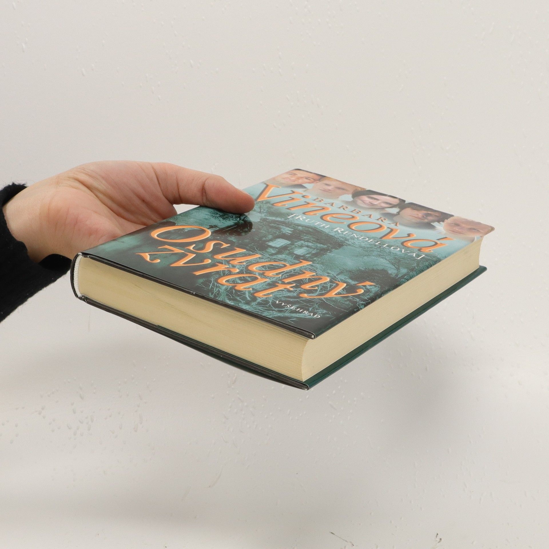 Ruth Rendell Osudný zvrat