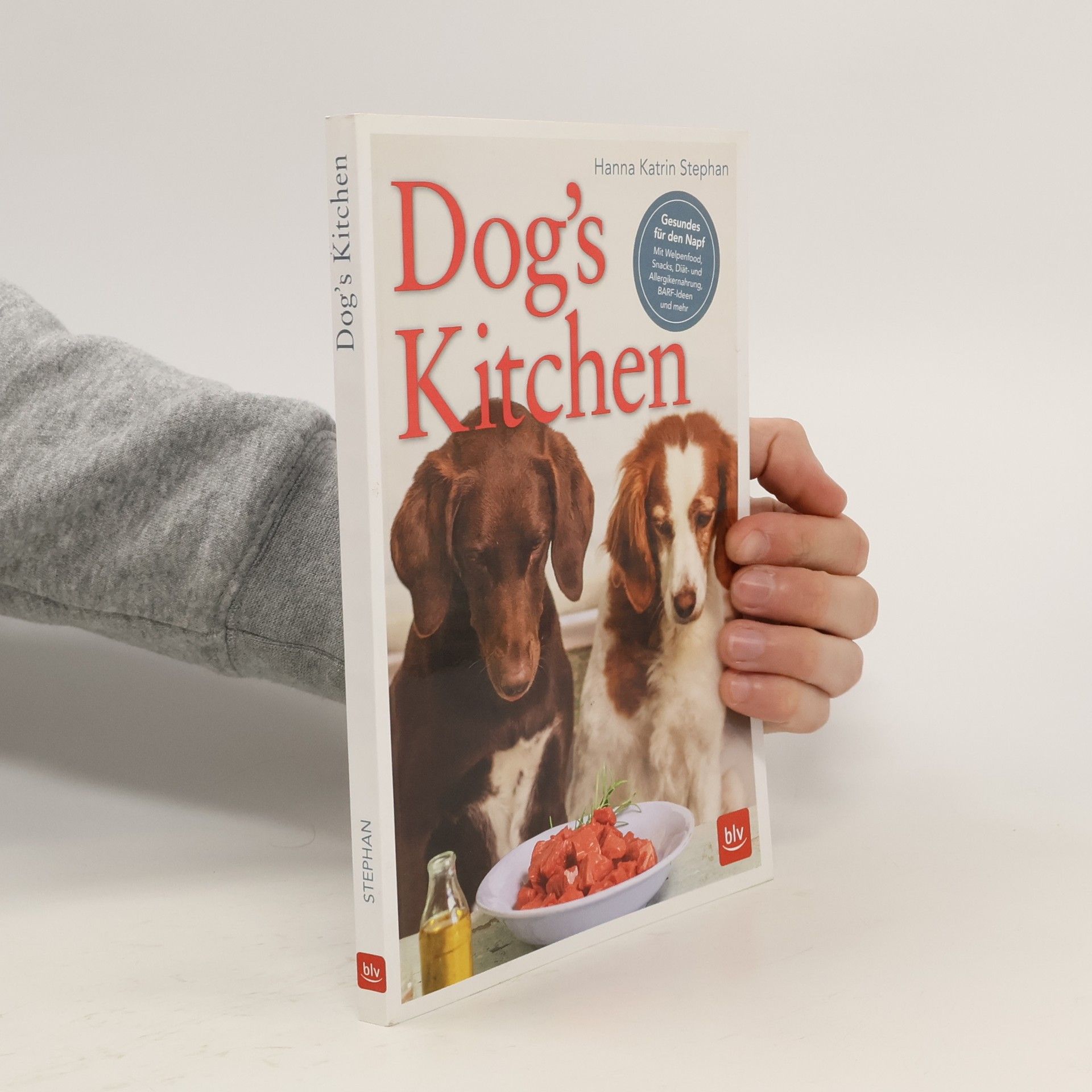 Hanna Katrin Stephan Dog's kitchen