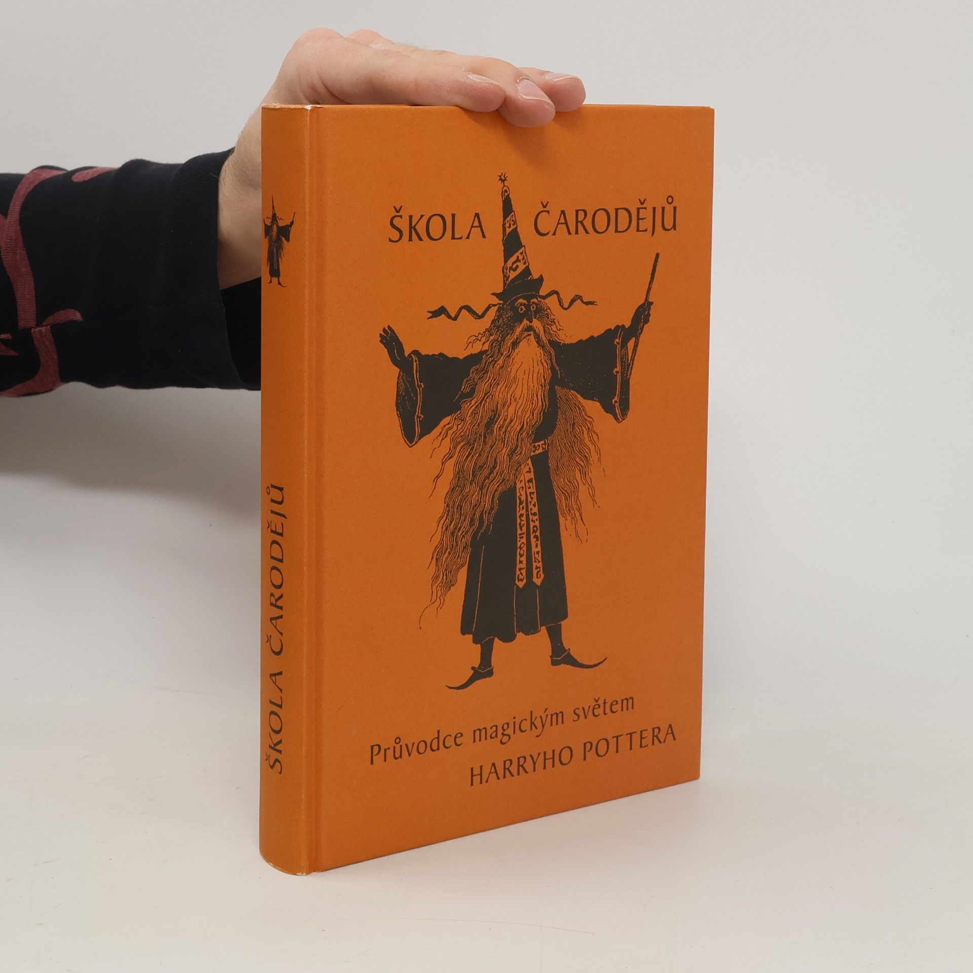 Elizabeth Kronzek Škola čarodějů. Průvodce magickým světem Harryho Pottera