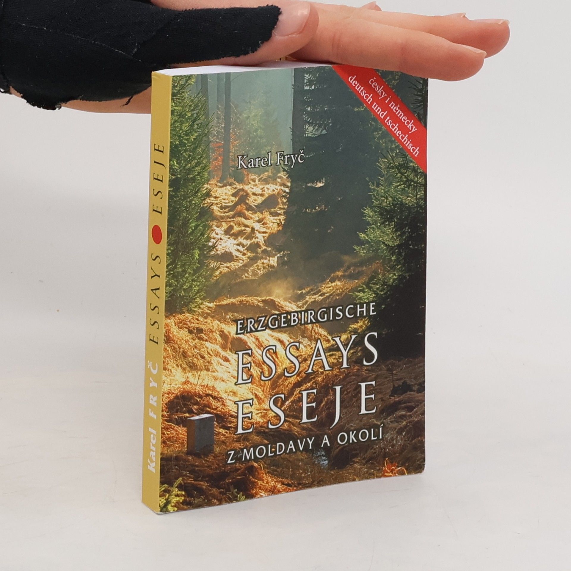 Karel Fryč Erzgebirgische Essays. Eseje