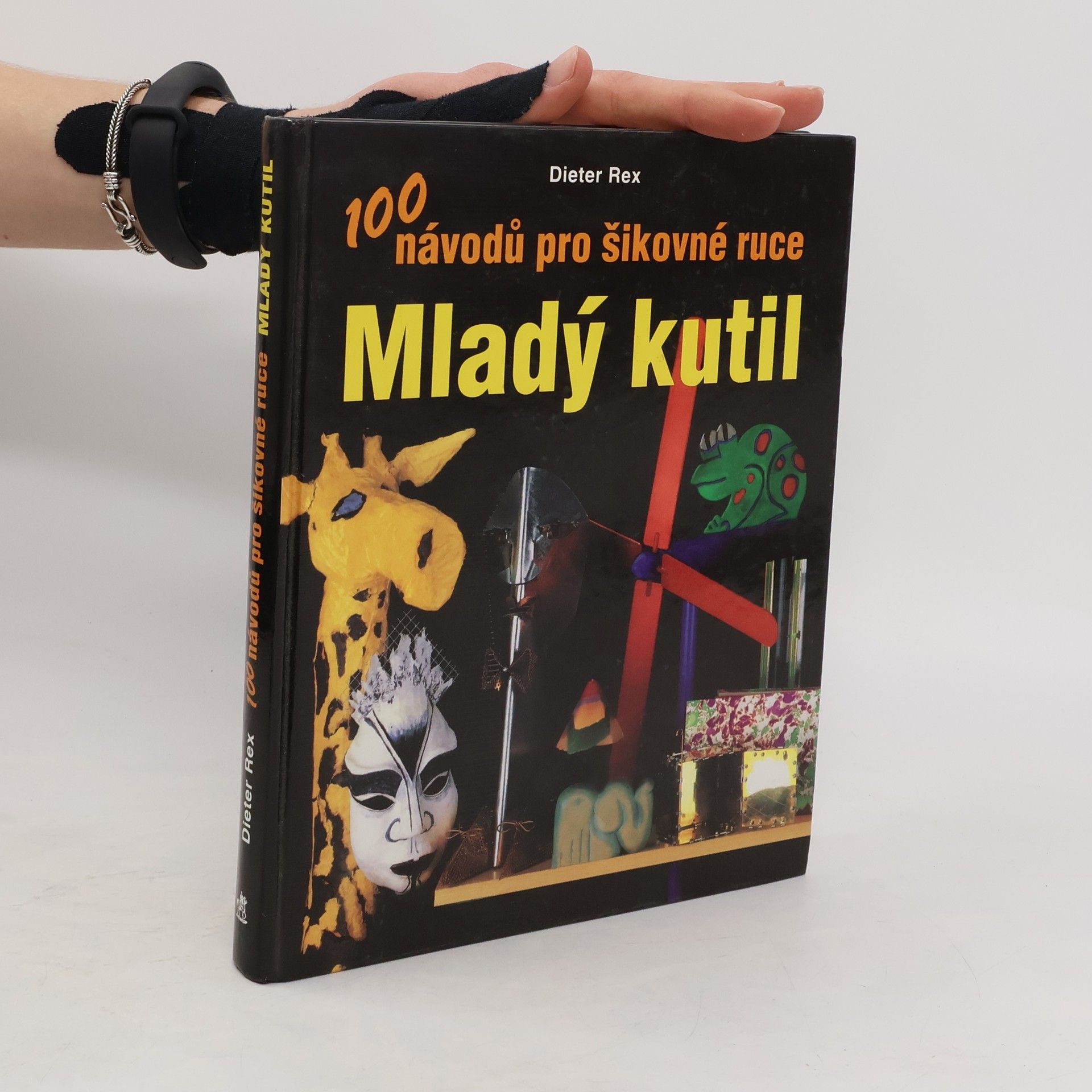 Dieter Rex Mladý kutil. 100 návodů pro šikovné ruce