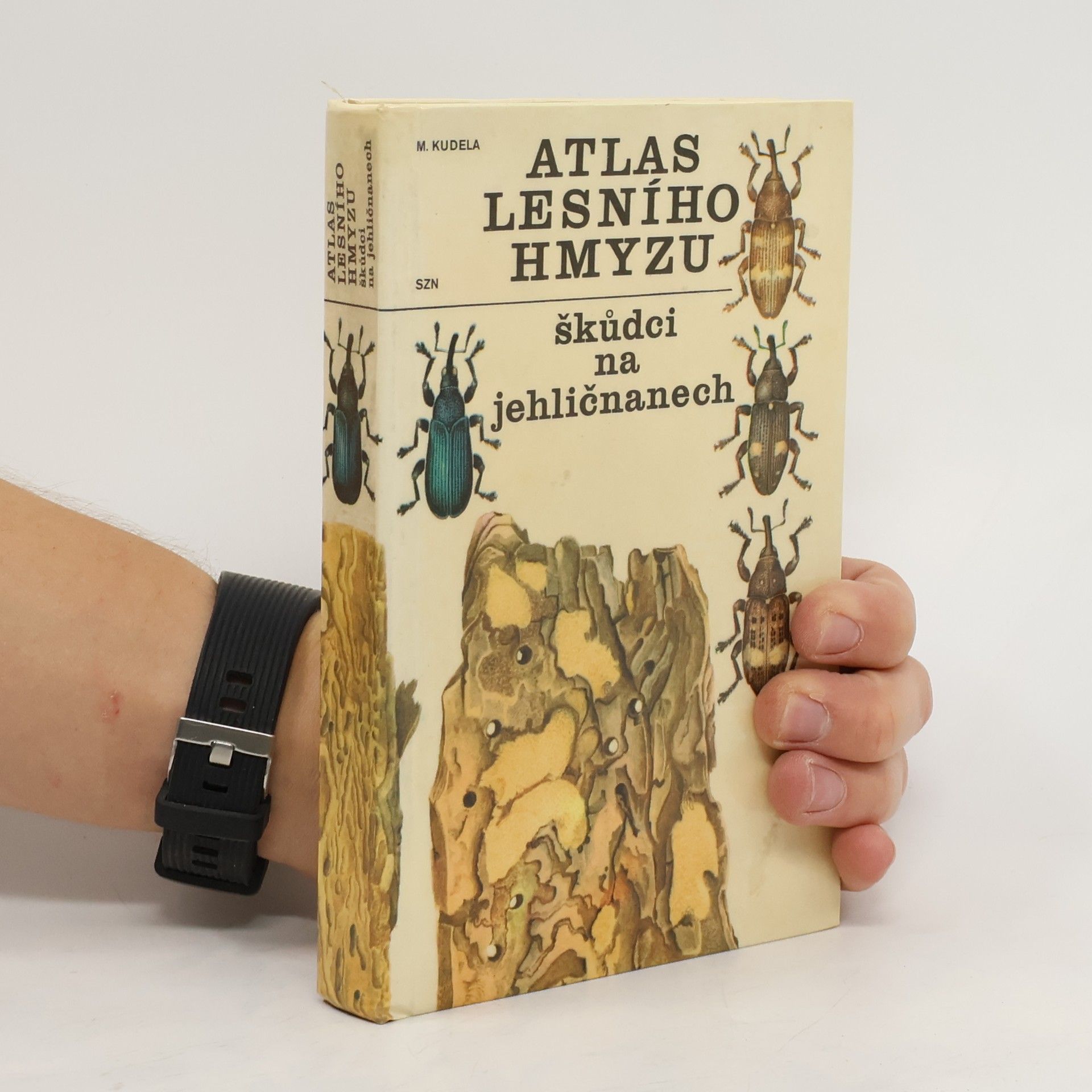 M. Kudela Atlas lesního hmyzu. Škůdci na jehličnanech