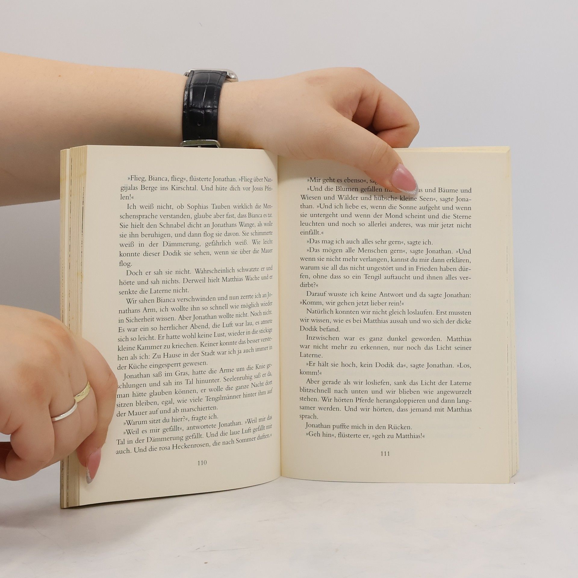 Astrid Lindgren Die Brüder Löwenherz