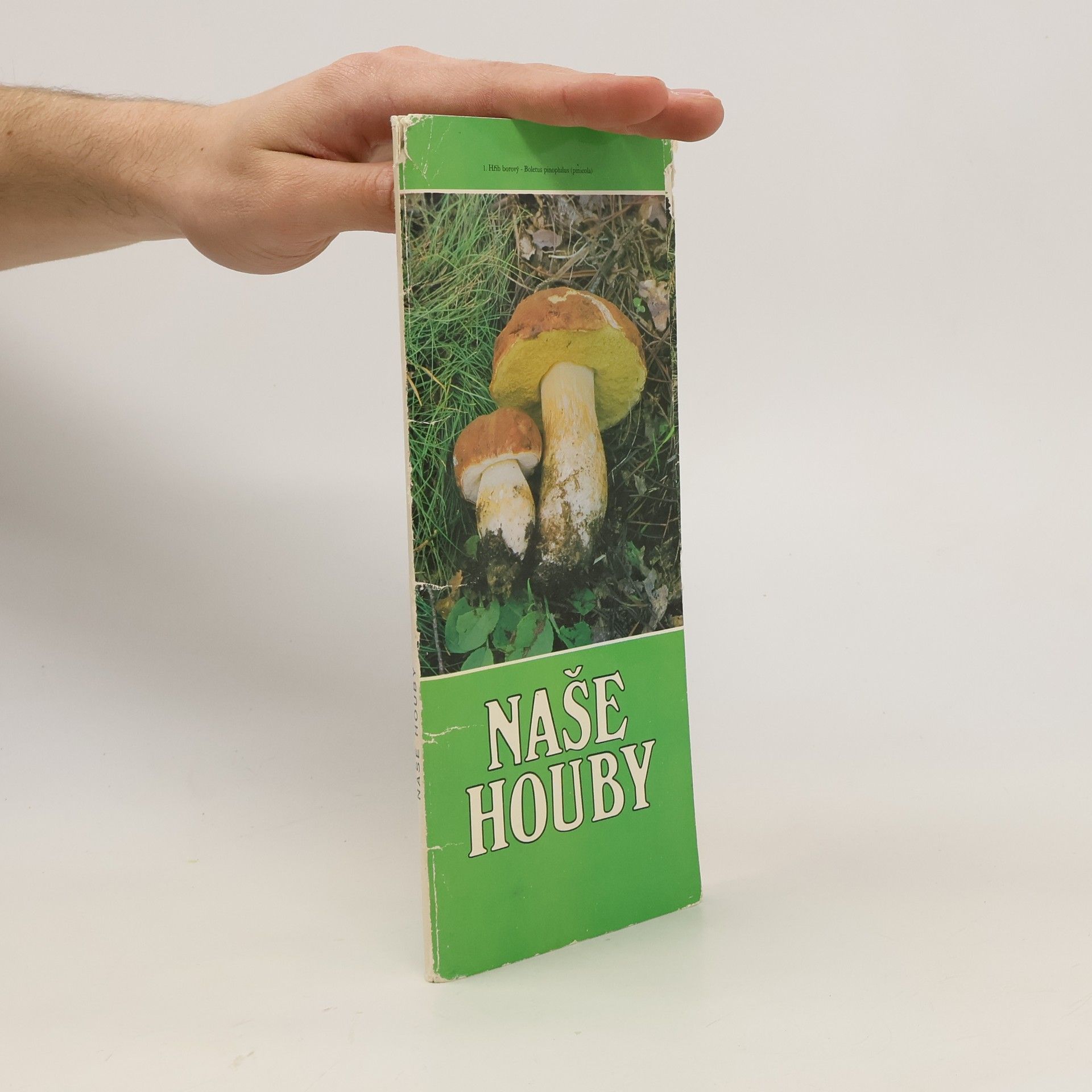 Collective Naše houby