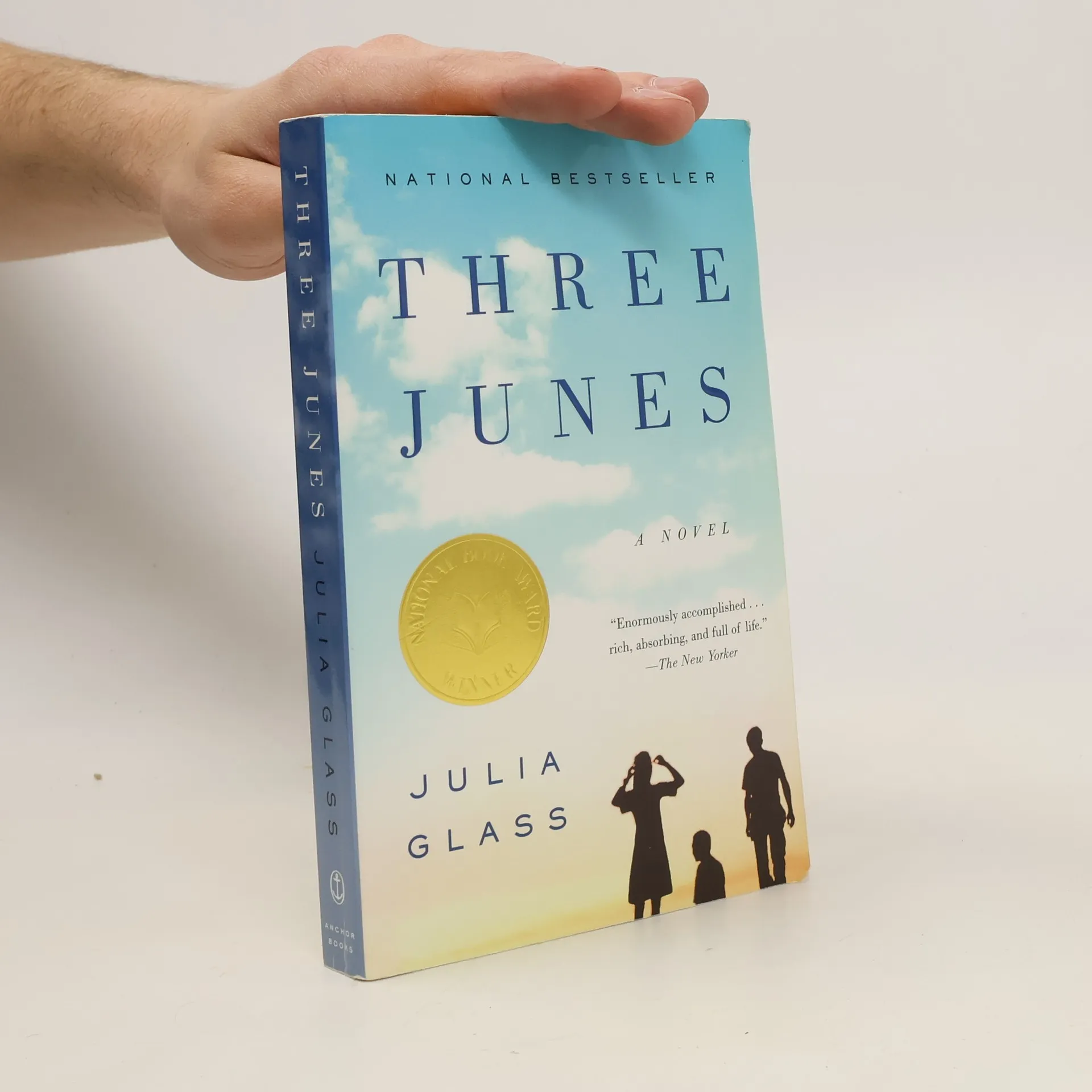 Three Junes | Book | Paperback | Julia Glass | EN