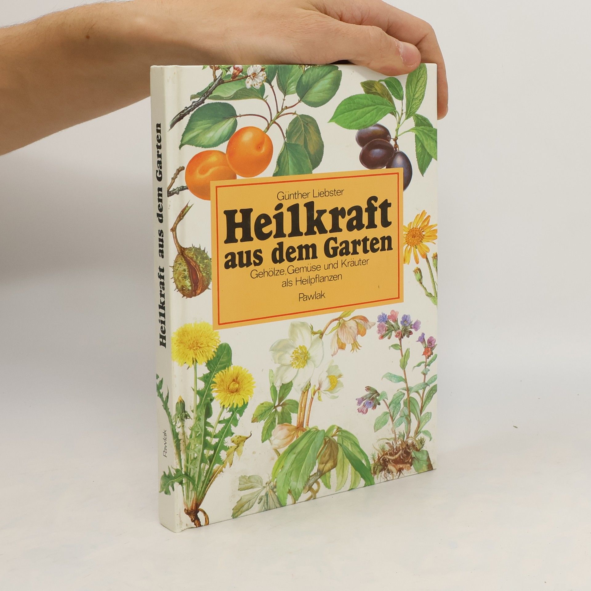 Günther Liebster Heilkraft aus dem Garten
