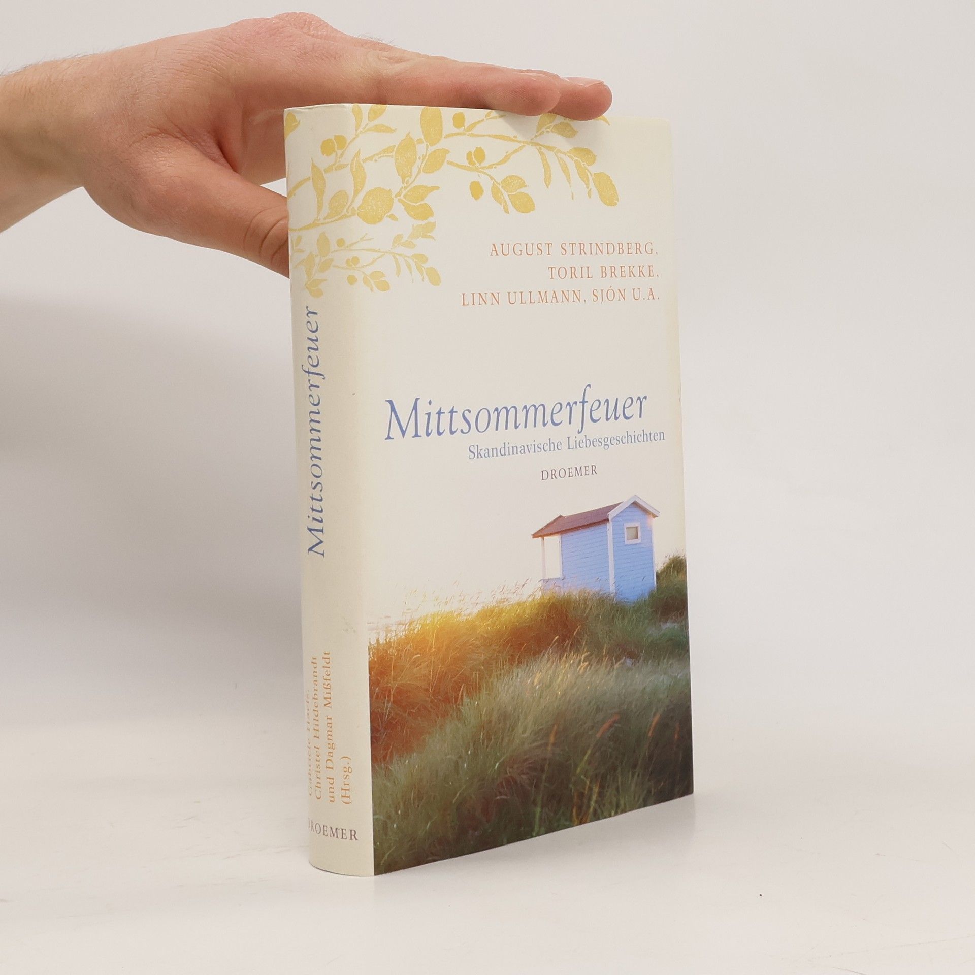 Gabriele Haefs Mittsommerfeuer