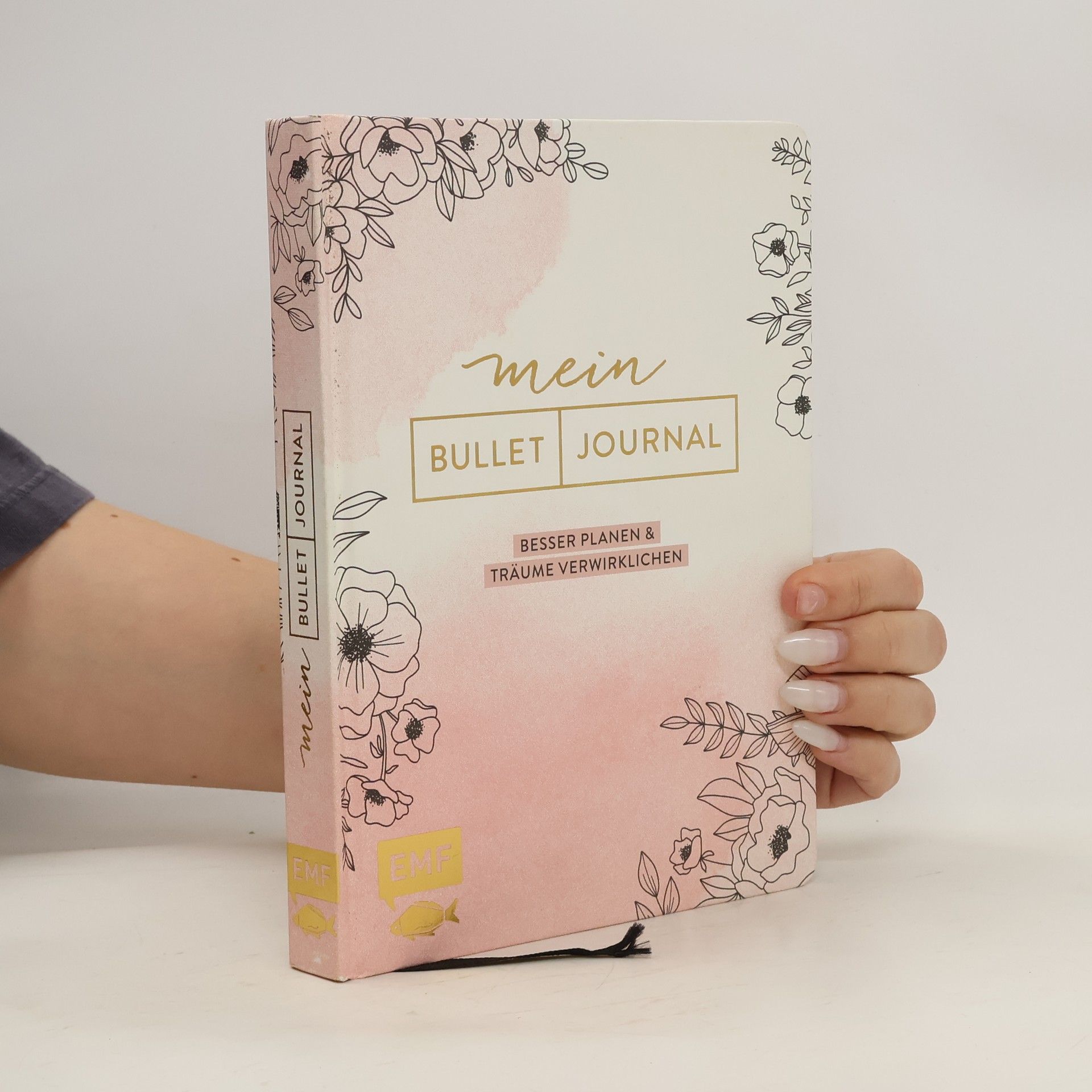 Marietheres Viehler Mein Bullet Journal - Besser planen & Träume verwirklichen