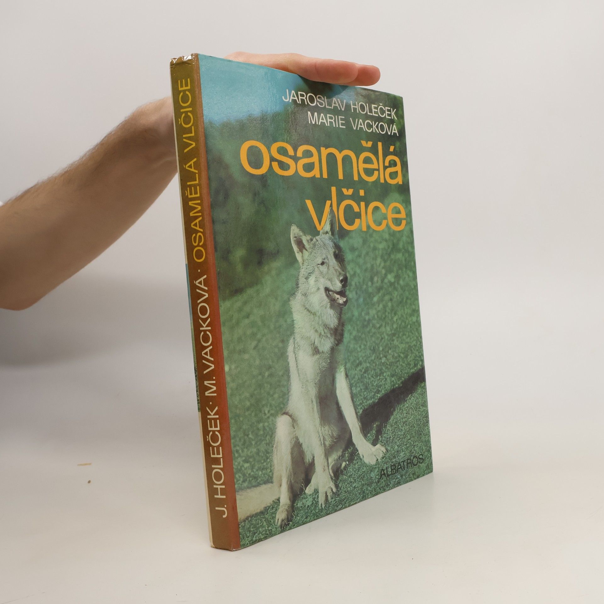 Jaroslav Holeček Osamělá vlčice