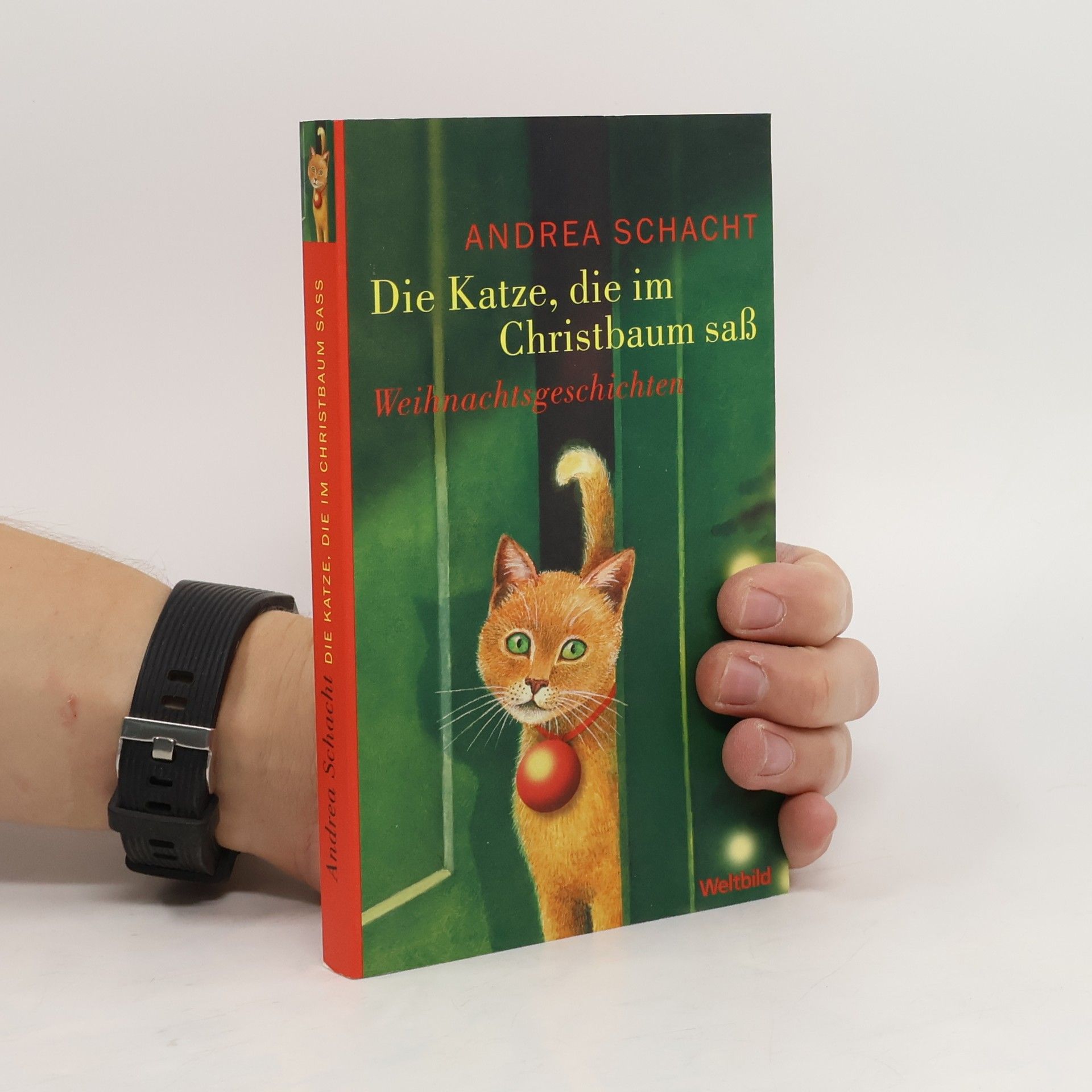 Andrea Schacht Die Katze, die im Christbaum saß