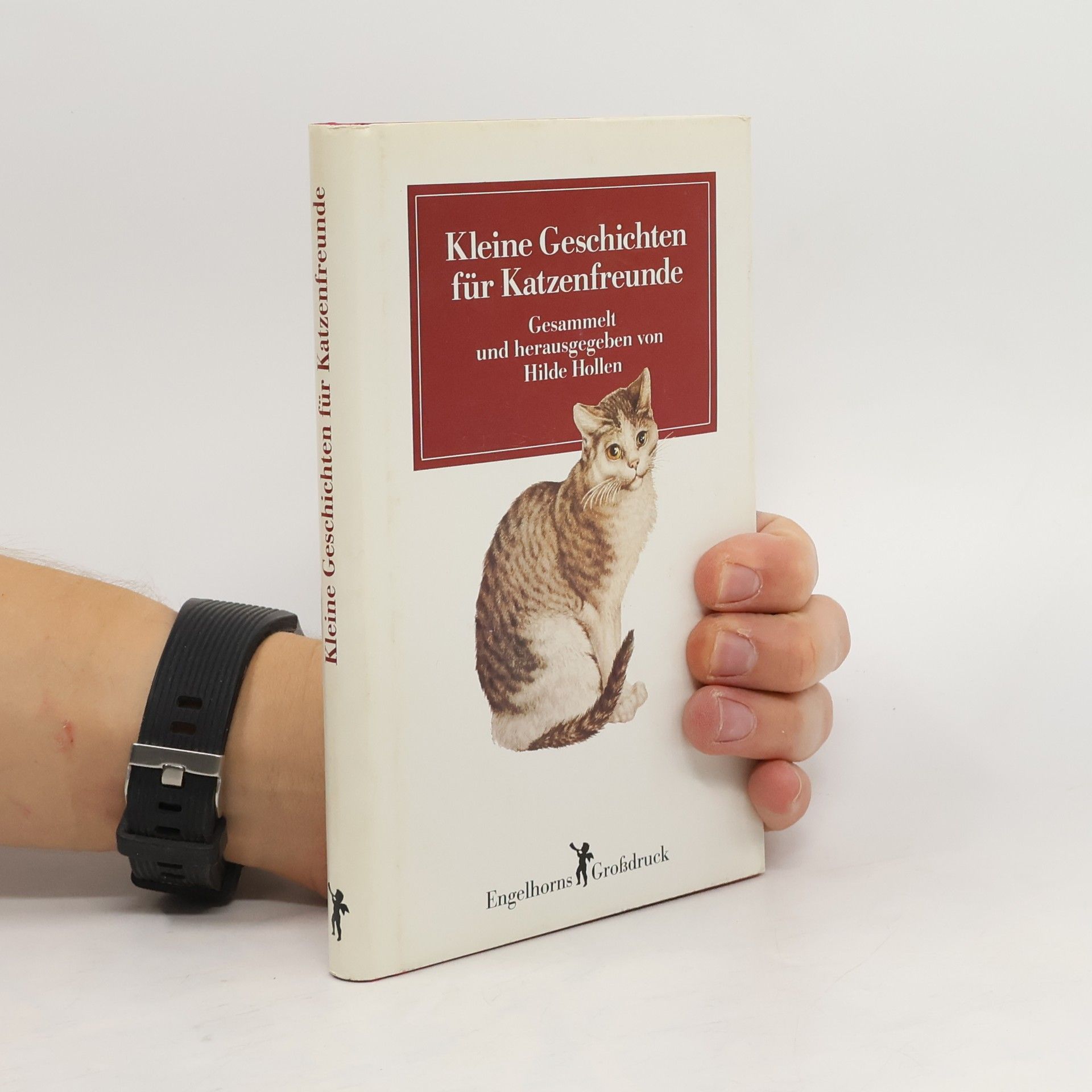 Hilde Hollen Kleine Geschichten für Katzenfreunde